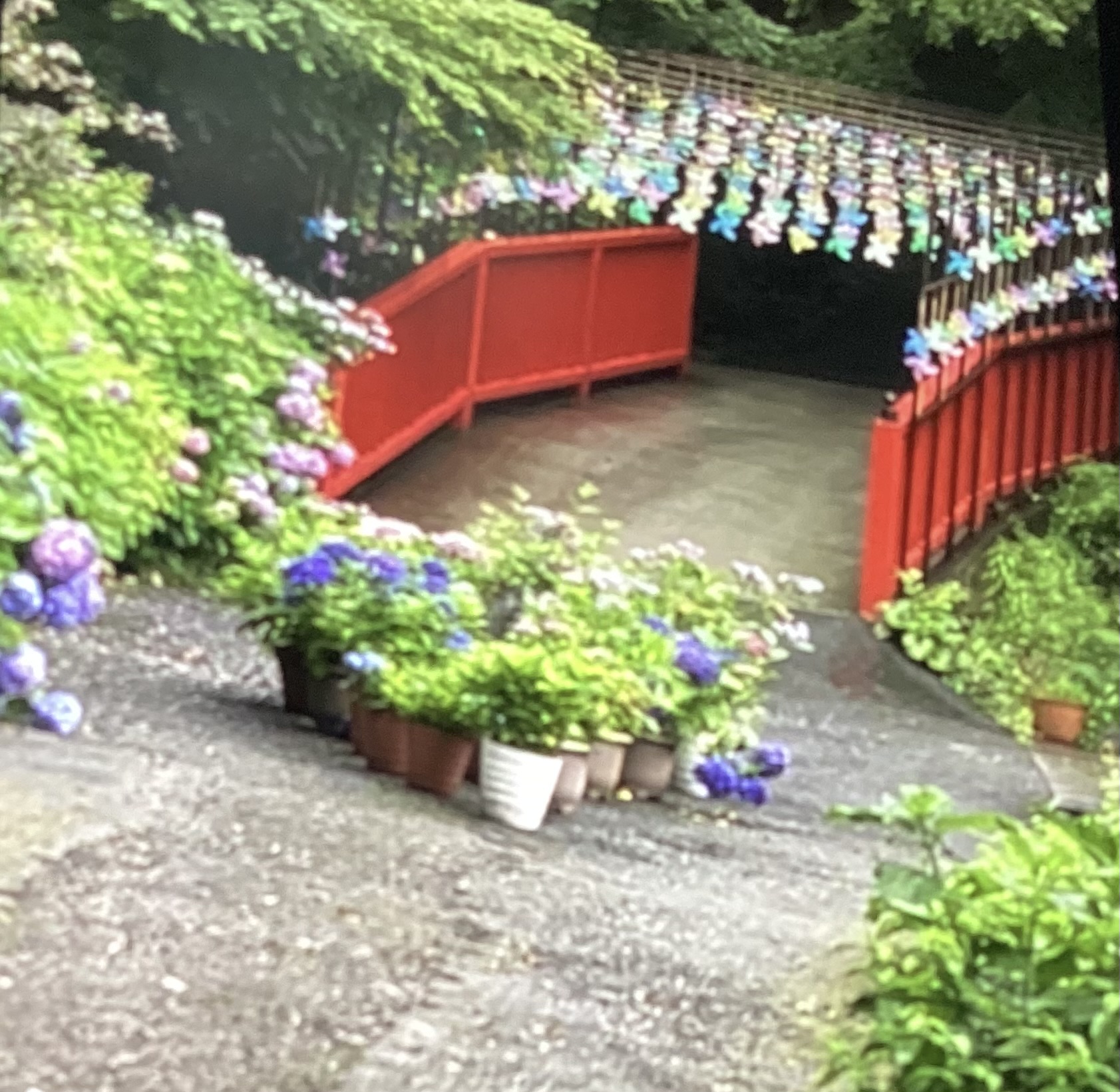 梅雨の時期に必須車のオイル交換と点検セルフ新栄SSで安心