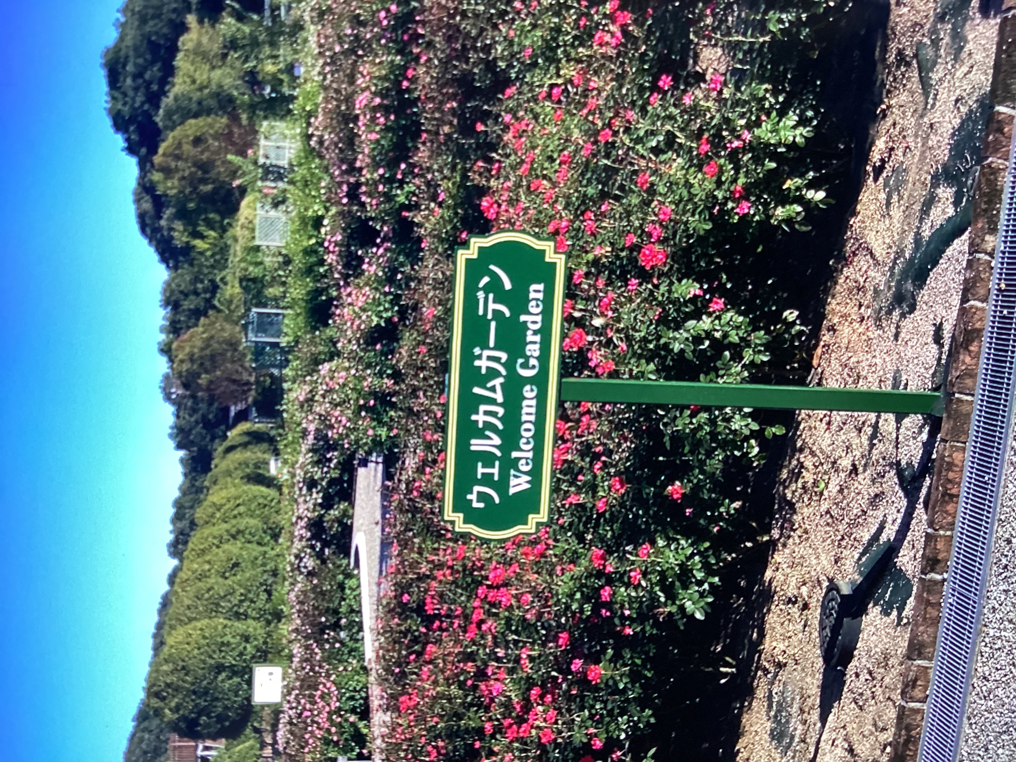 セルフ新栄SSの秋メンテ術 車検・洗車・オイル交換で快適ドライブ🚗