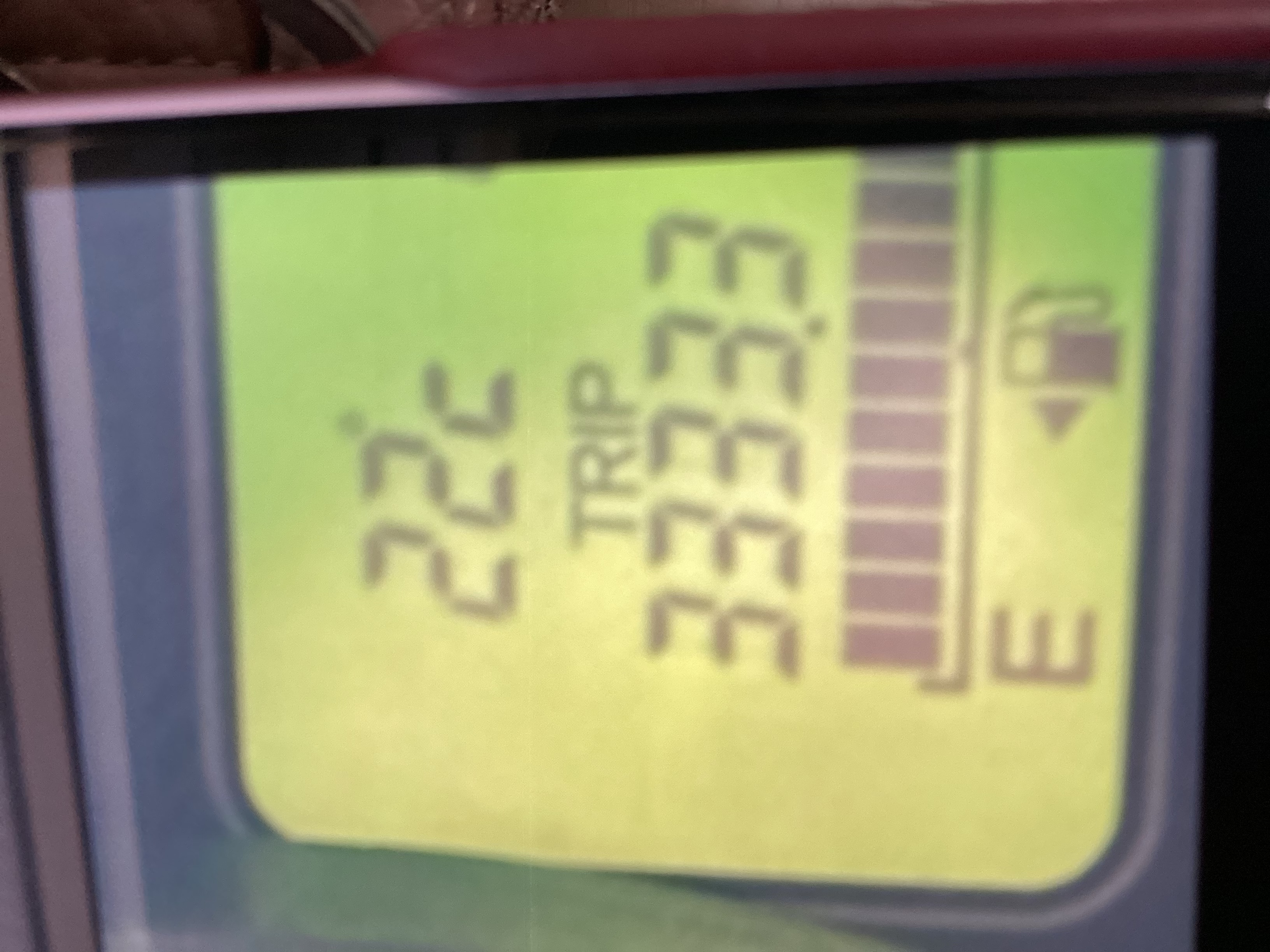 春のドライブ準備におすすめオイル半額キャンペーン開催中🌸