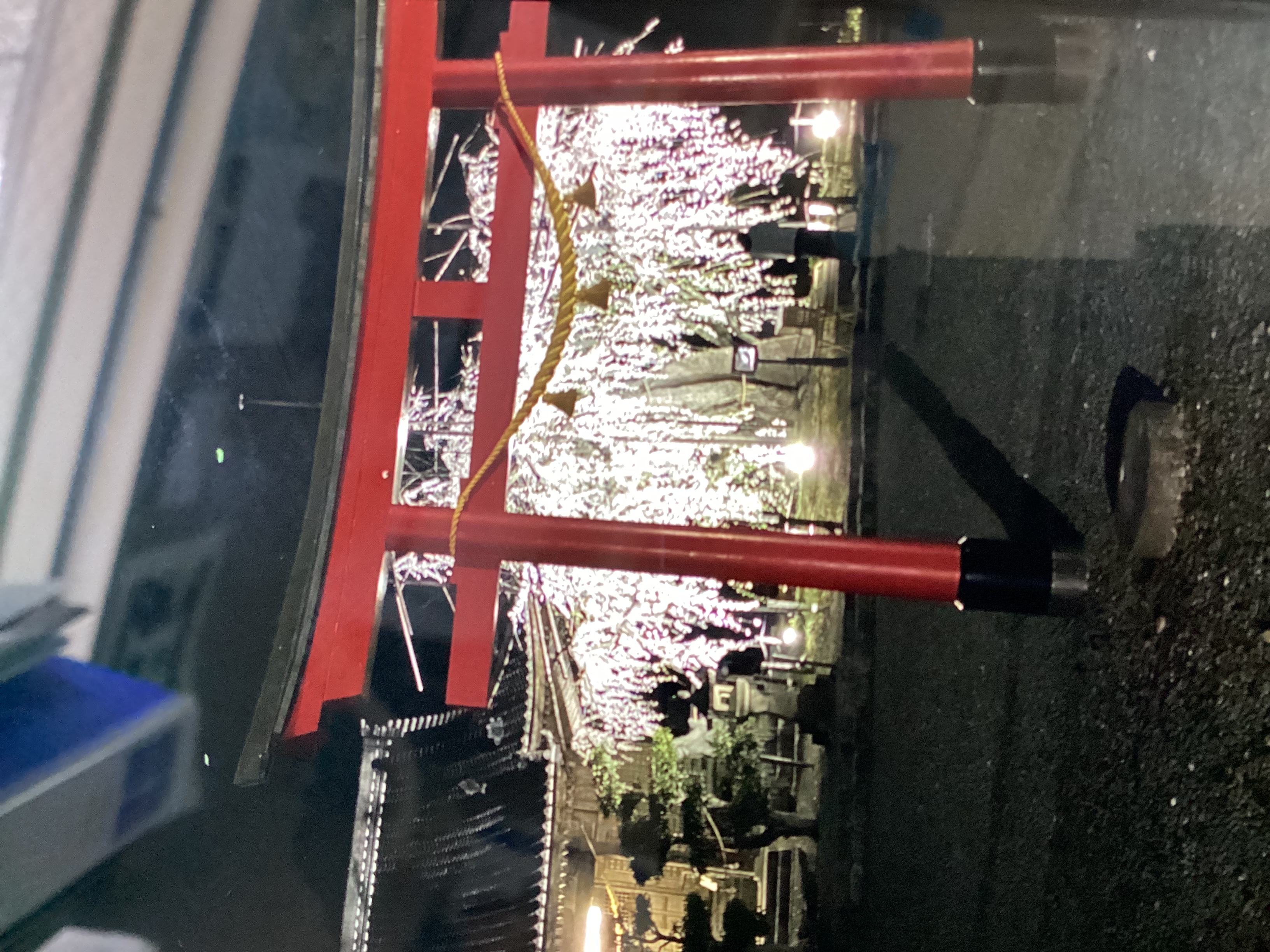 春のドライブ前におすすめオイル交換半額＆タイヤ交換情報🌸