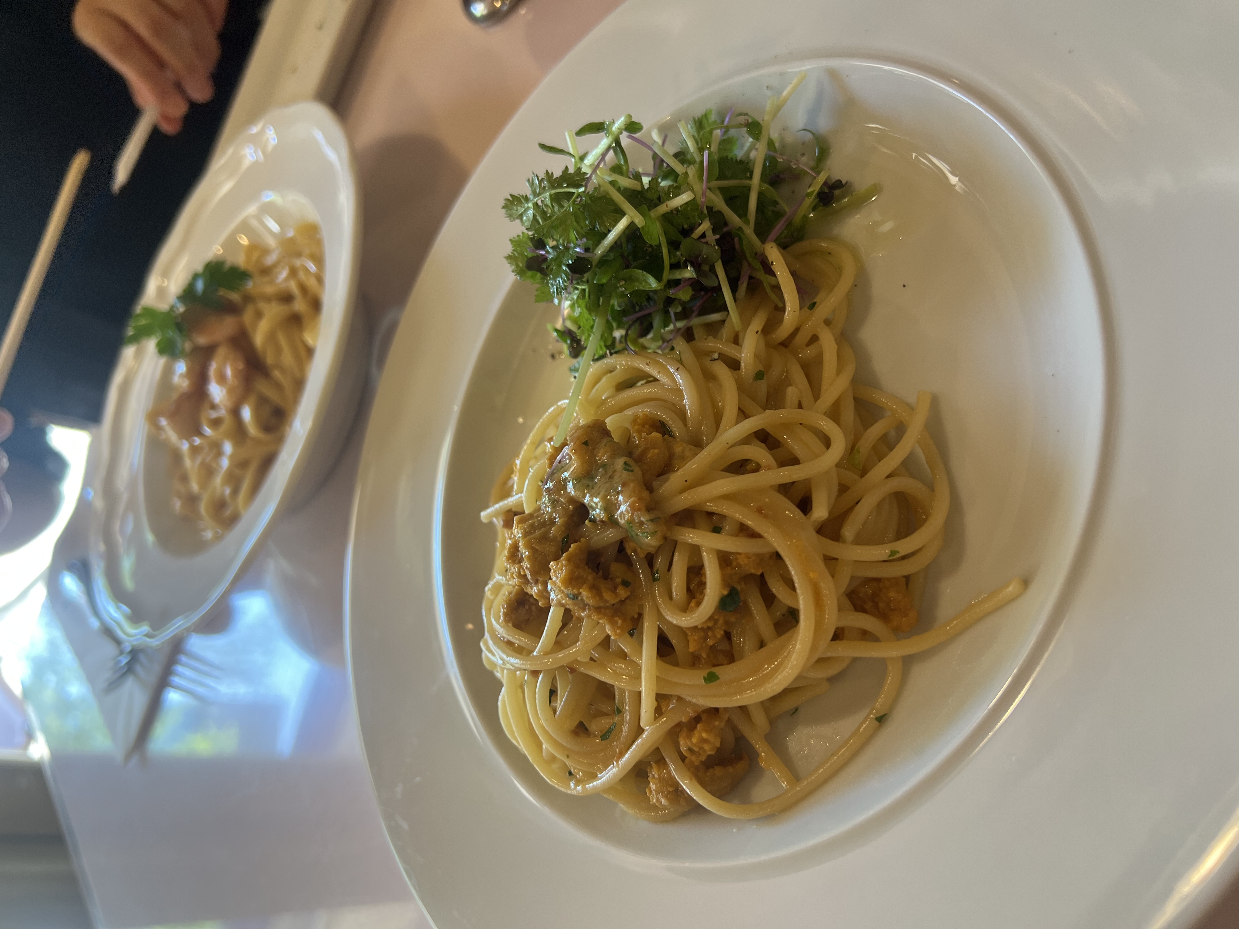 🍝夏の車ケアはこれで決まり！純水手洗い祭とダイヤIIコーティング✨