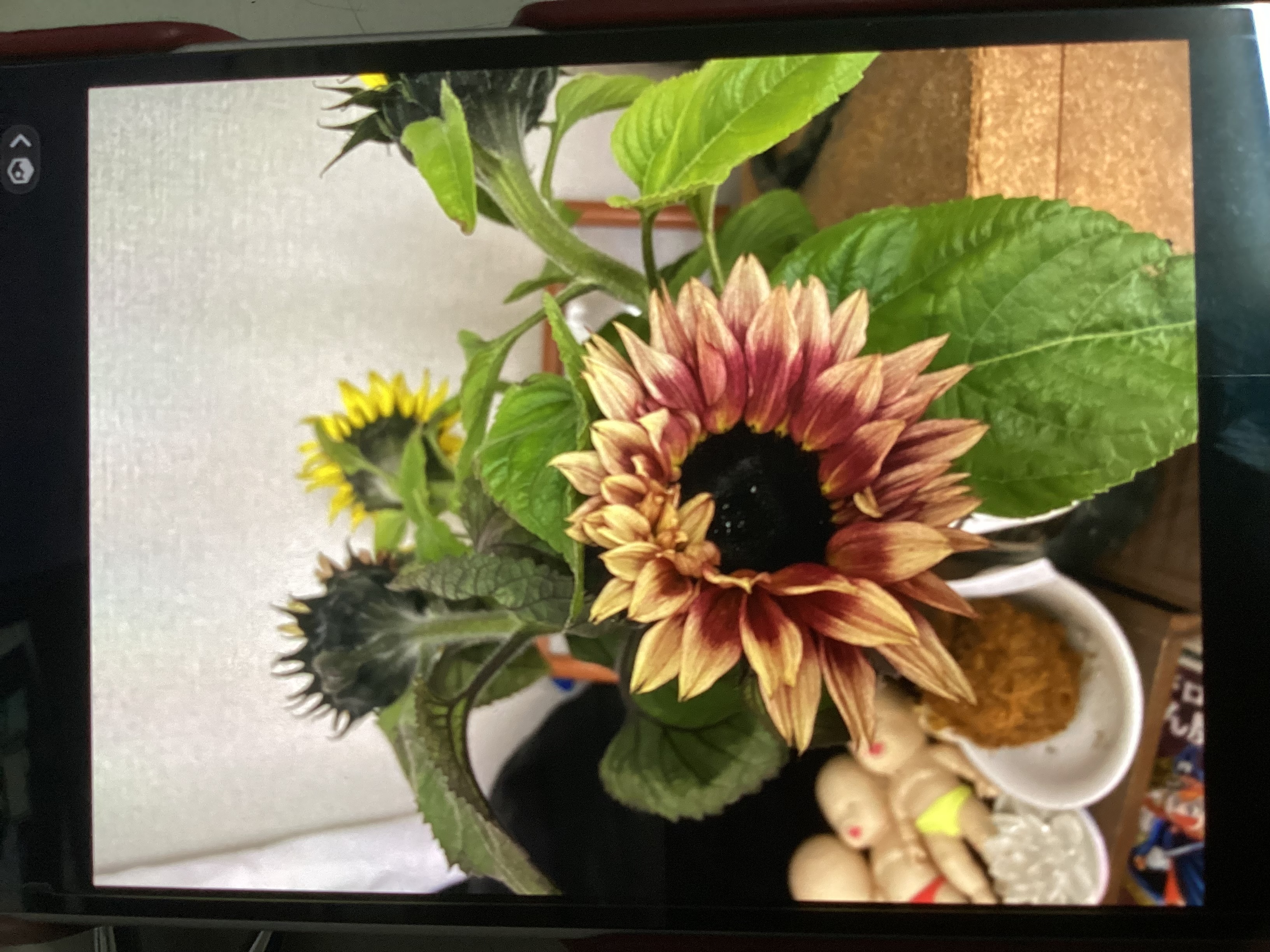 冬の雨でも安心セルフ新栄SSのオイル交換と洗車キャンペーン🚗✨