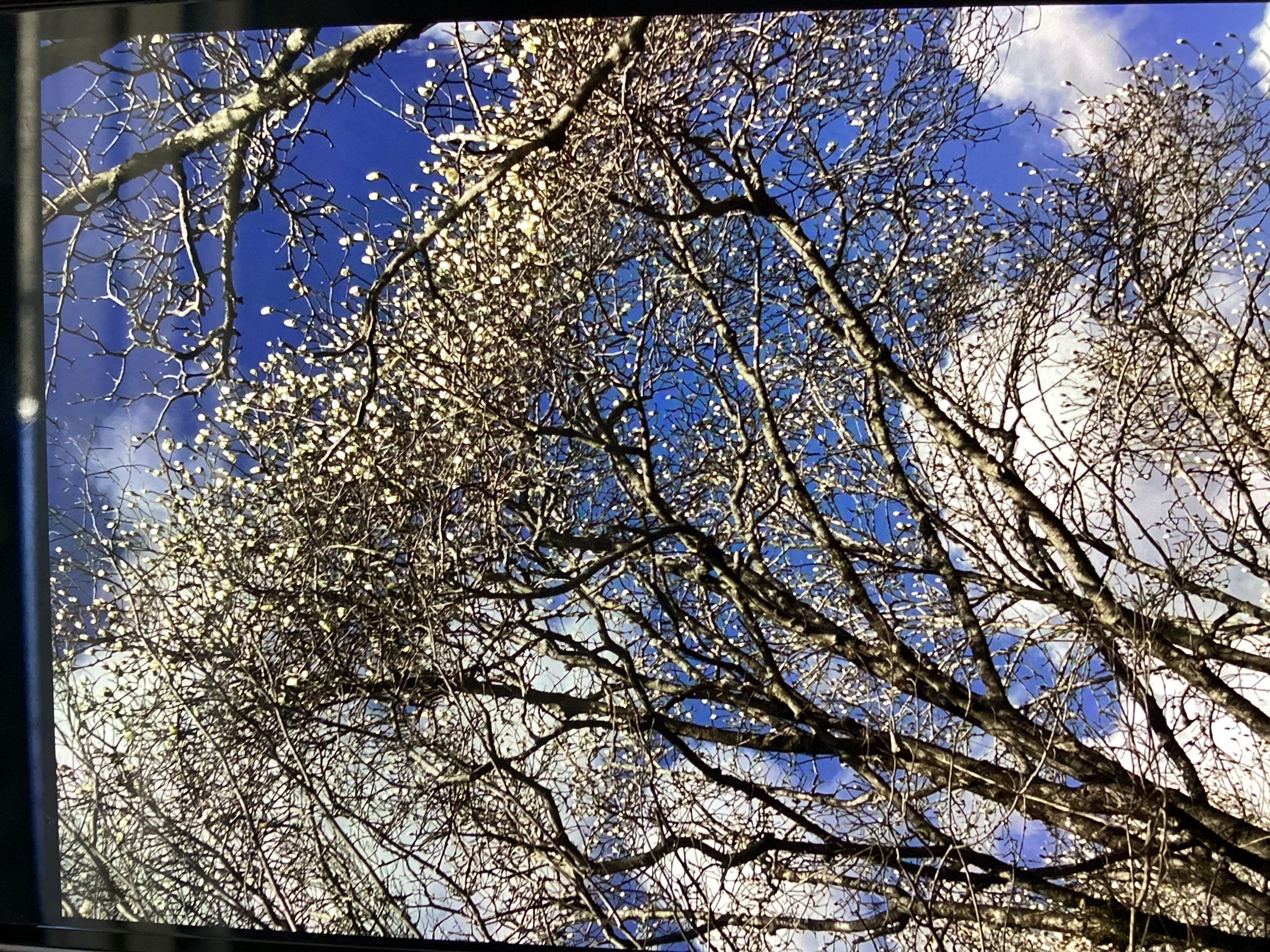 春の車検前点検とタイヤケアで快適ドライブをサポート🚗