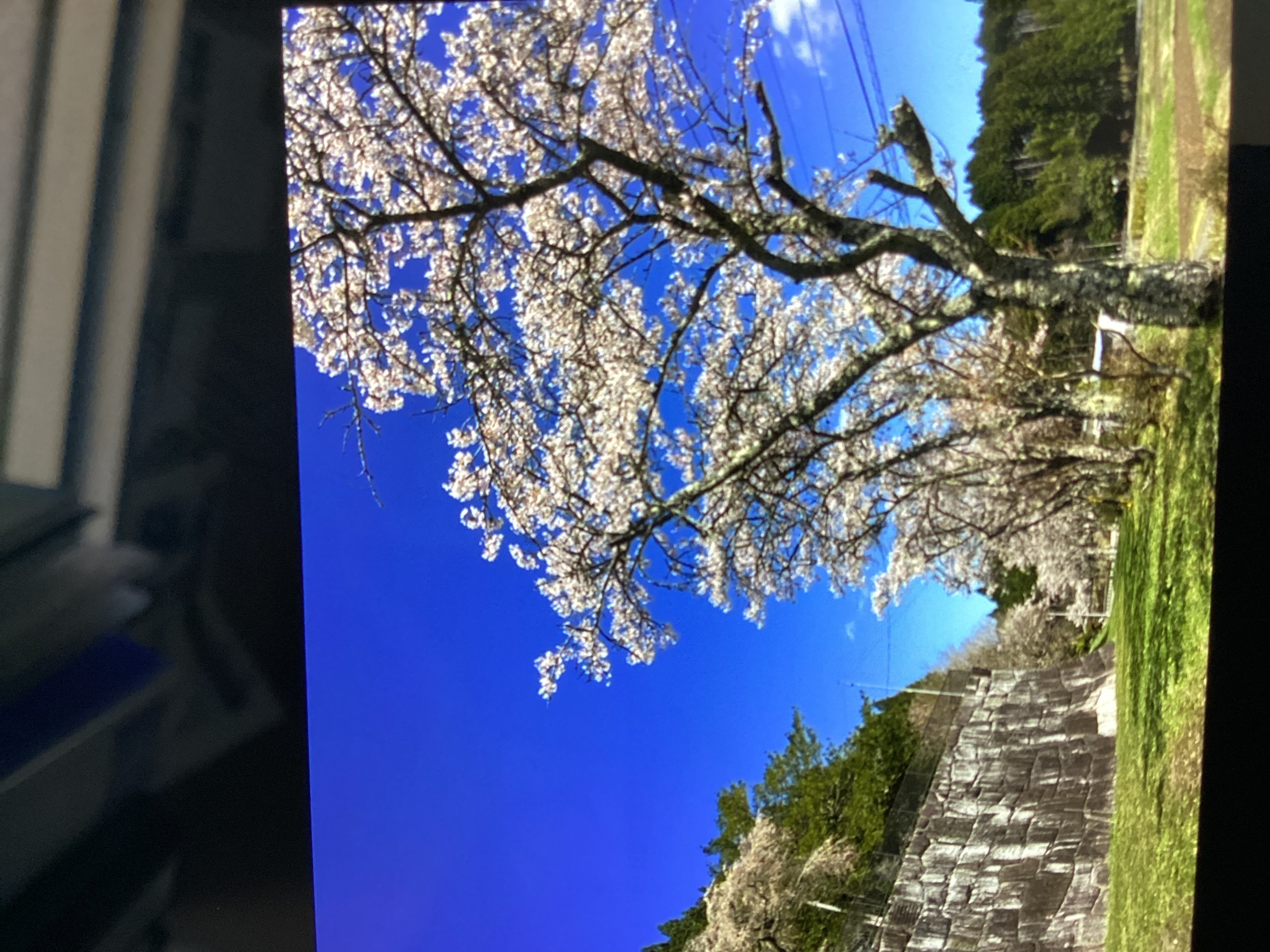 春のドライブ前におすすめ春メンテナンス7選とお得情報🚗