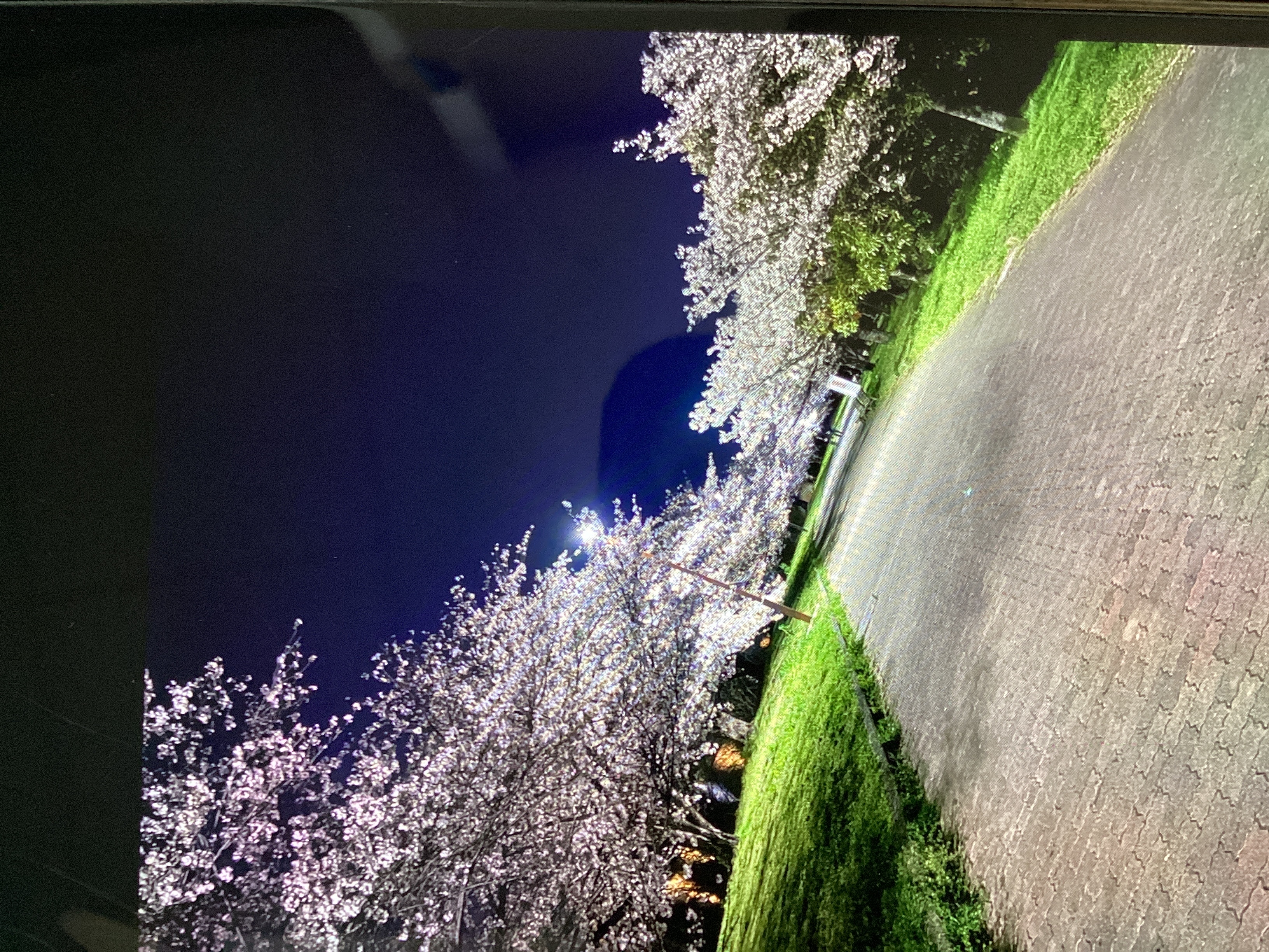 春のドライブ前におすすめ車ケア🌸洗車・コーティング・オイル交換情報