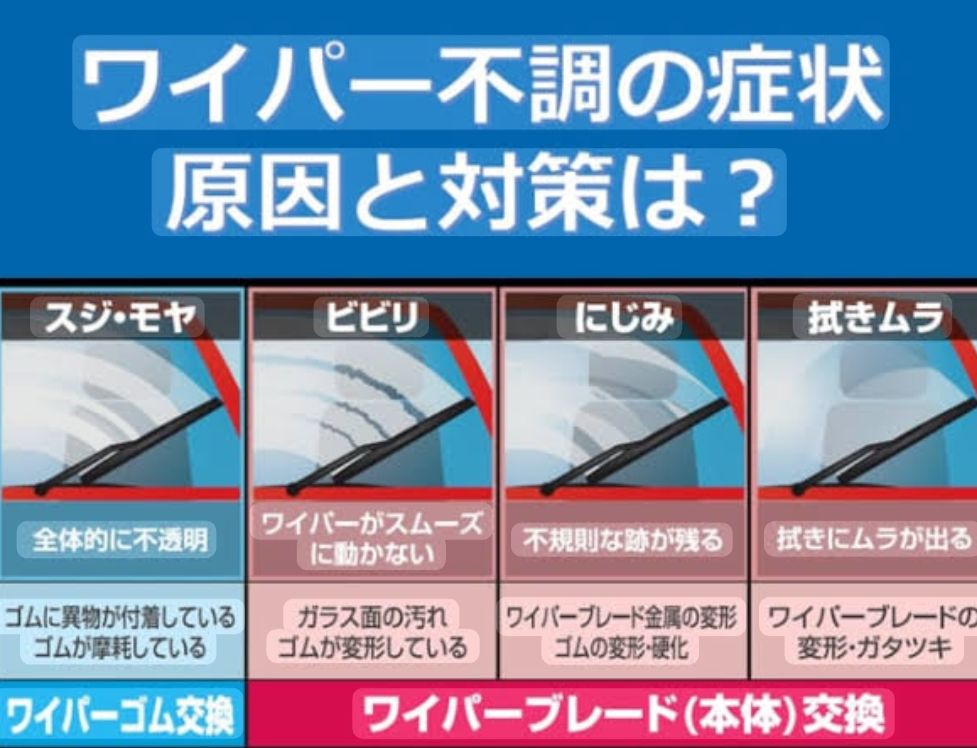 涙活　ルイカツ