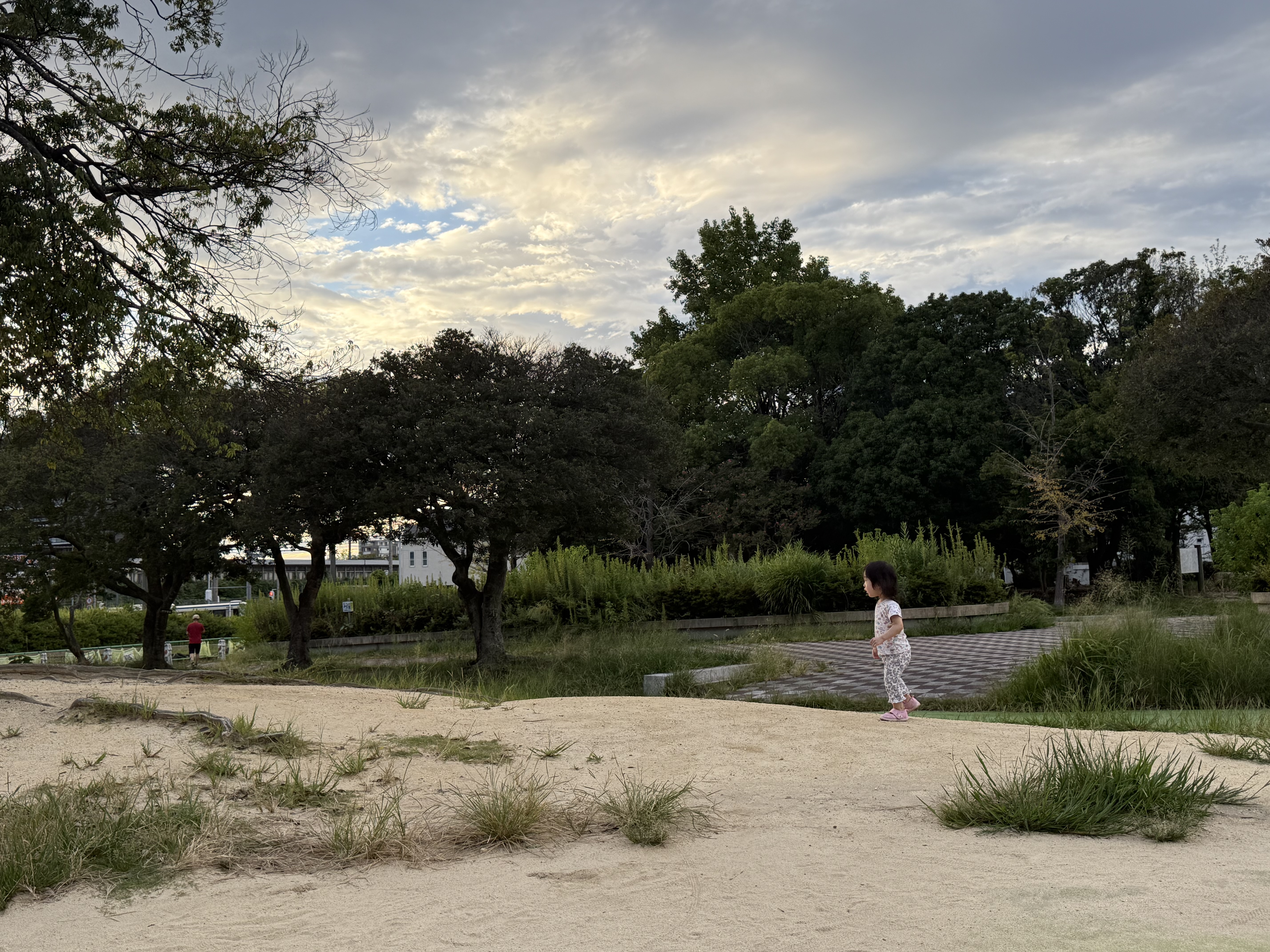 春の洗車半額キャンペーン開催中 車の点検もお任せください🚗