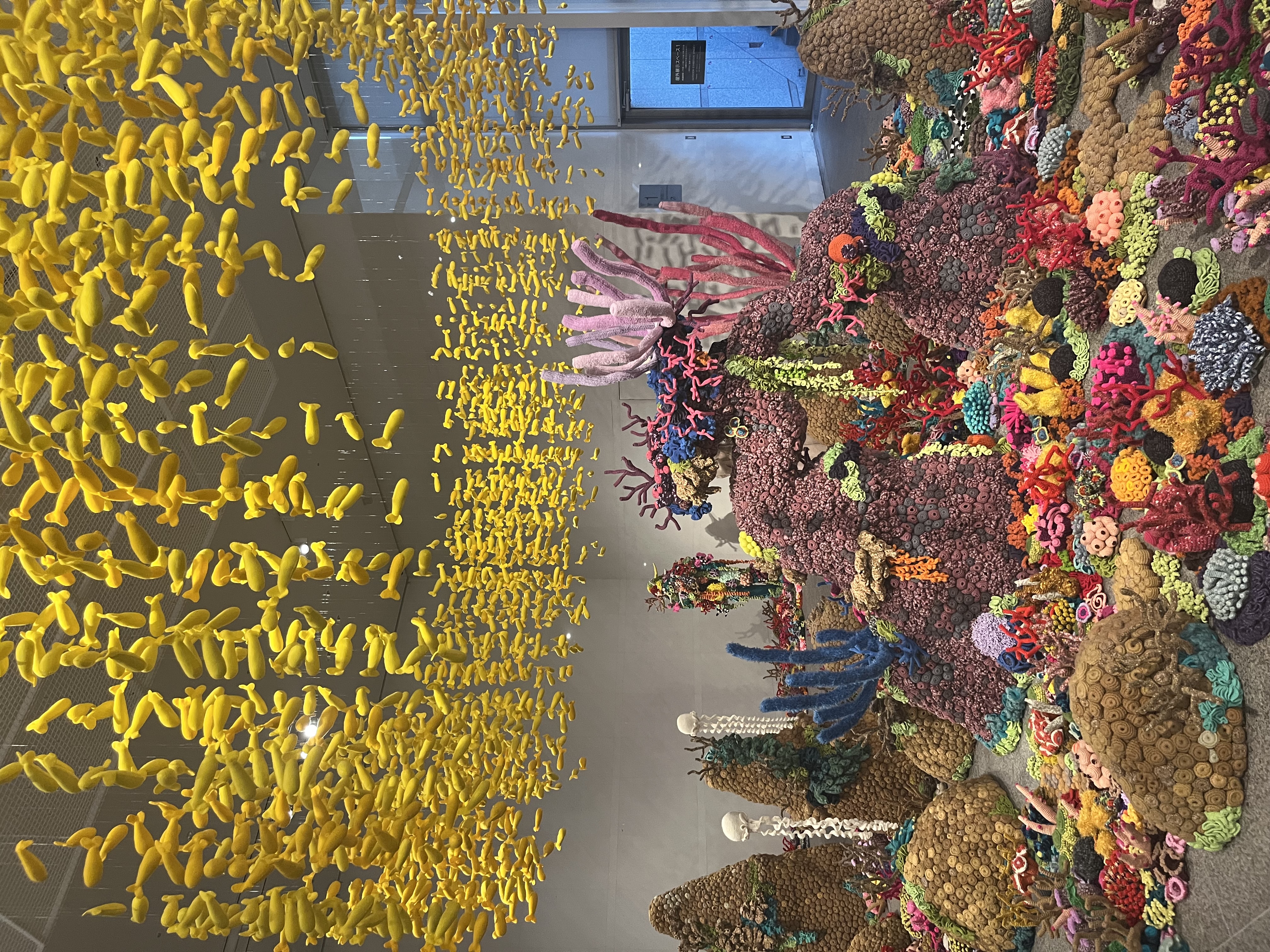 秋のドライブ前に車のコーティングと点検で快適ケア🚗✨