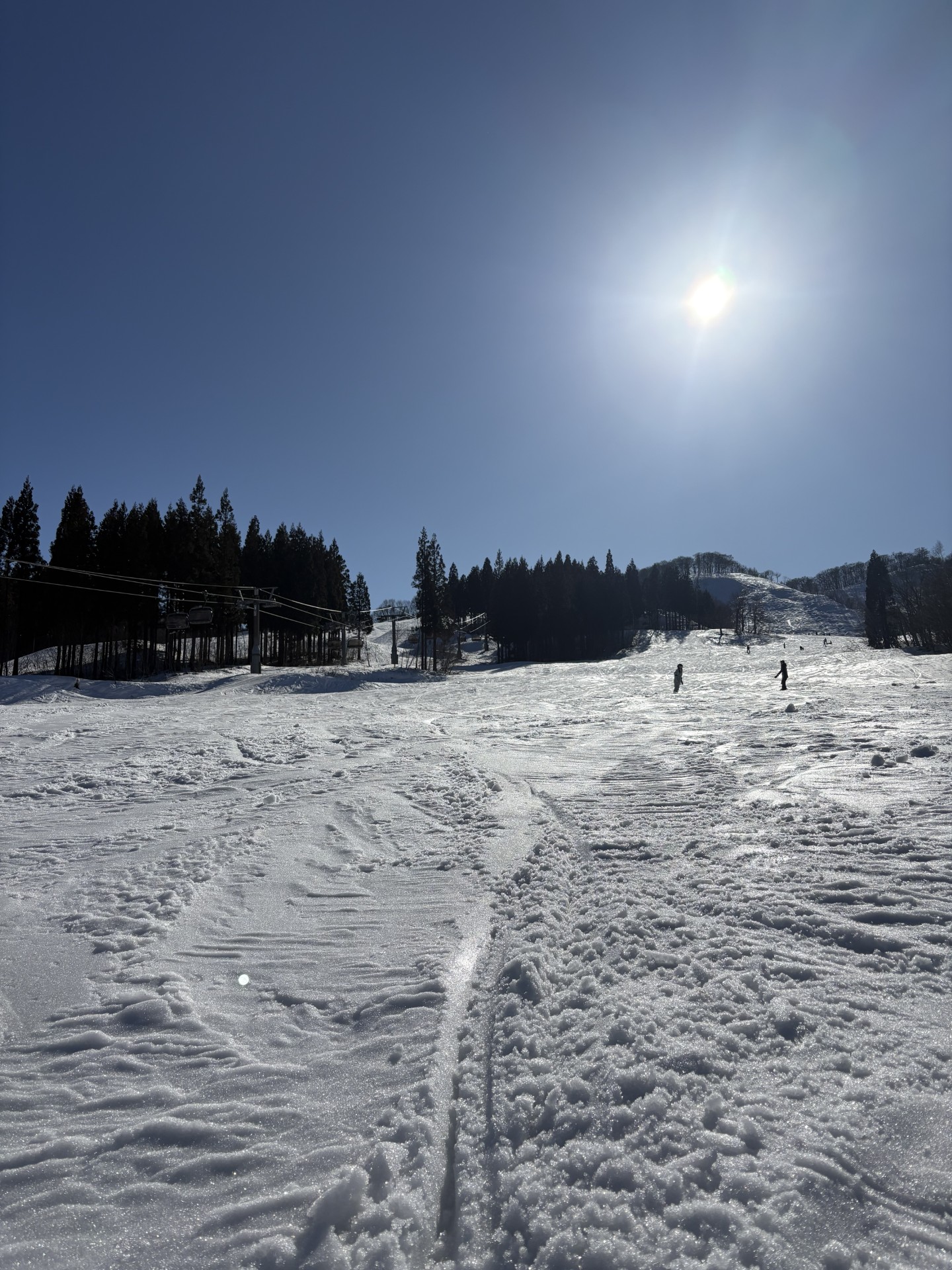 春の愛車ケアとセルフ雁道SS改装情報をチェックしよう🚗✨