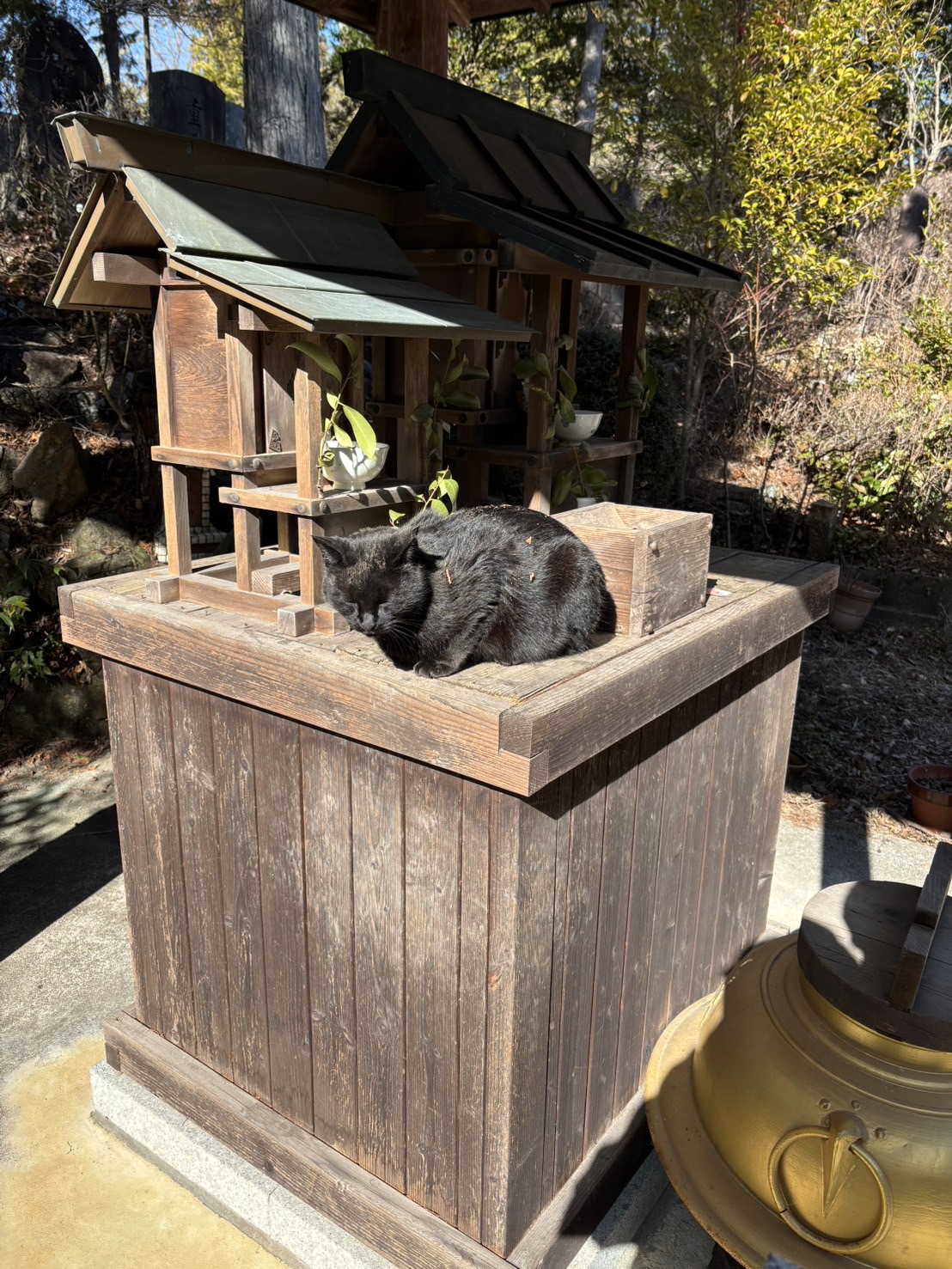 春のドライブ前にチェックしたい愛車のポイントとお手入れ法🚗