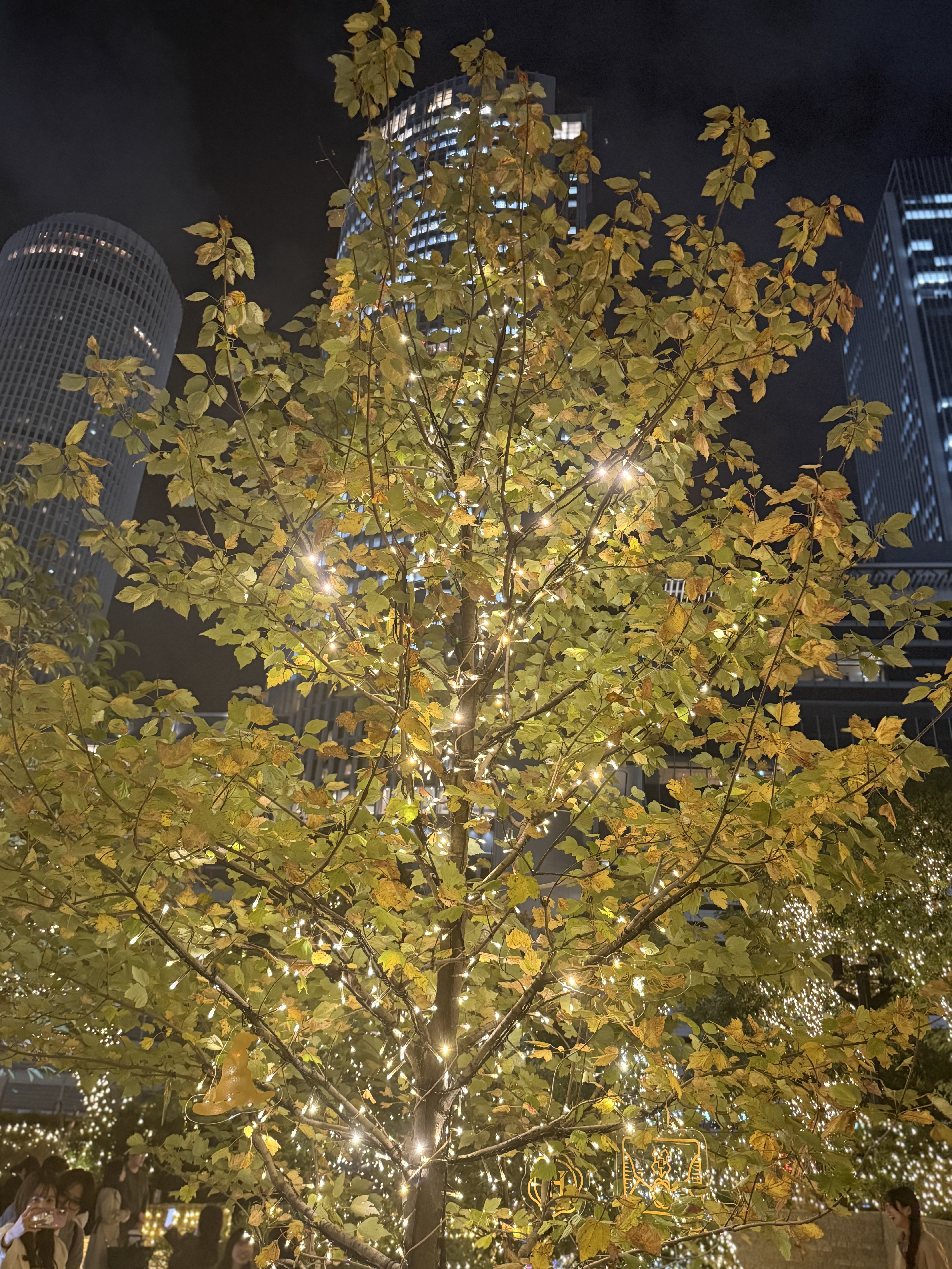 秋の手洗い洗車とダイヤモンドキーパーで愛車ピカピカに🚗✨