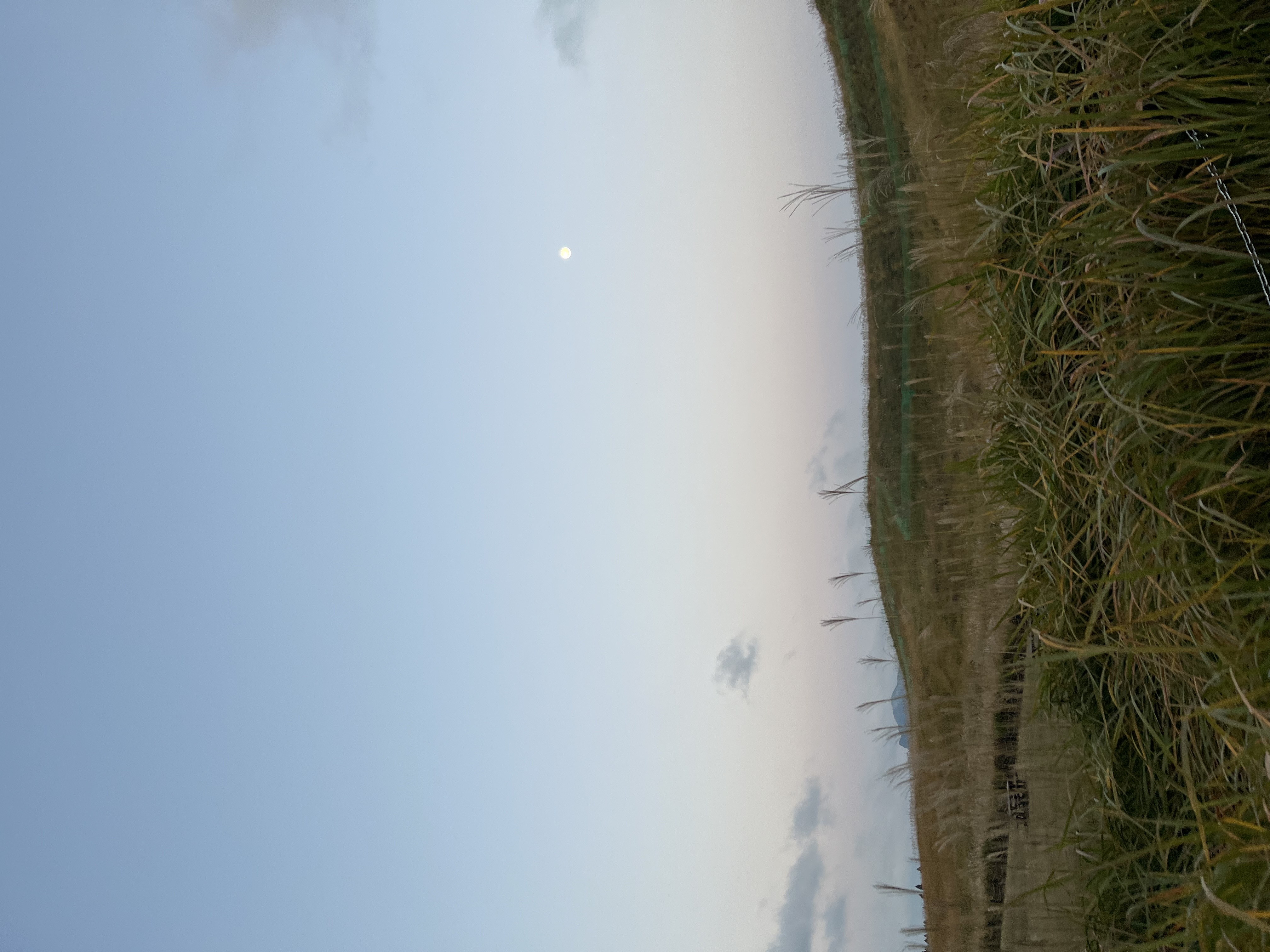 雨の日も安心のダイヤモンドコーティングと秋の車メンテ術🚗