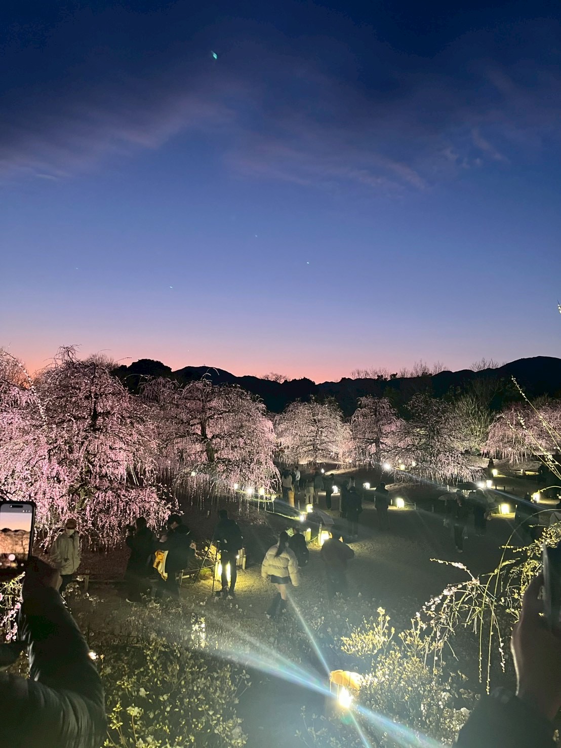 春のガソリン値上げ前に給油をおすすめ🌸セルフ雁道SSリニューアル情報