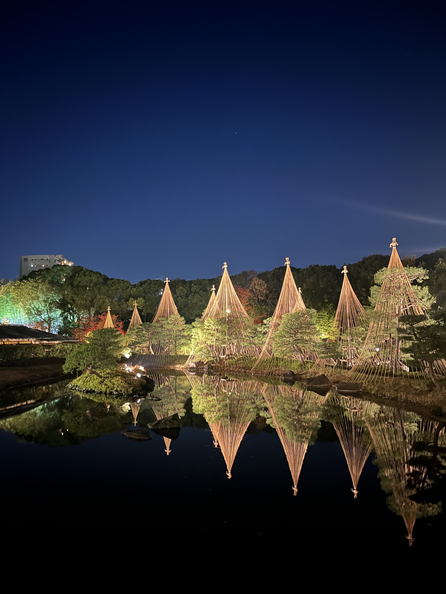 秋のドライブ前にチェックしたい車のメンテナンスポイント🚗✨