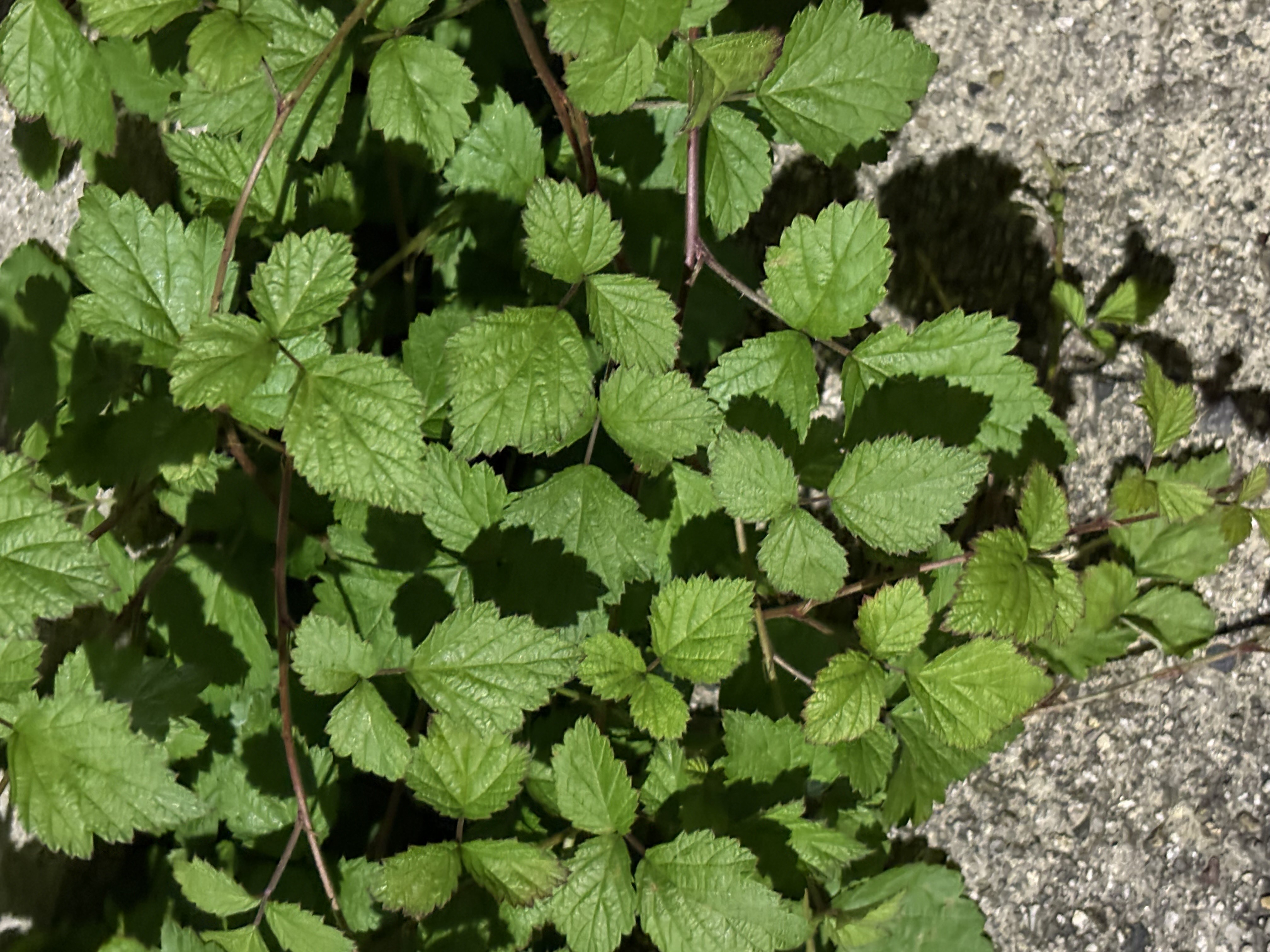秋の手洗い洗車で愛車ピカピカにおすすめポイントと点検ケア🚗✨