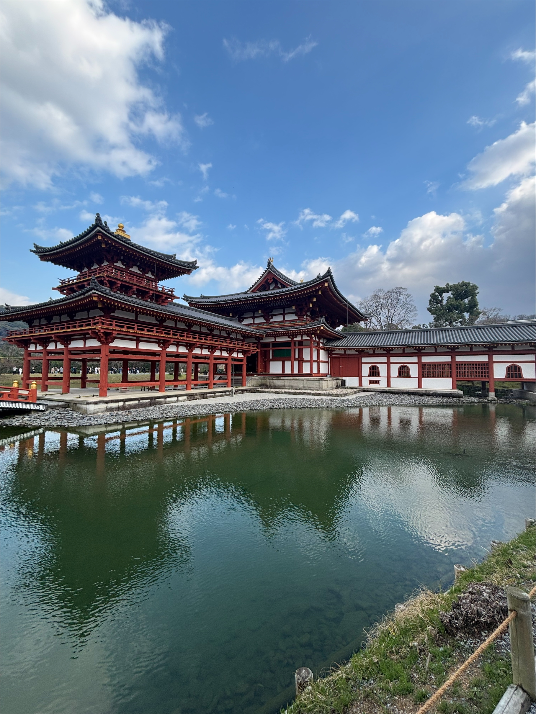 春の愛車ケアにおすすめコーティングと洗車機活用法🚗✨