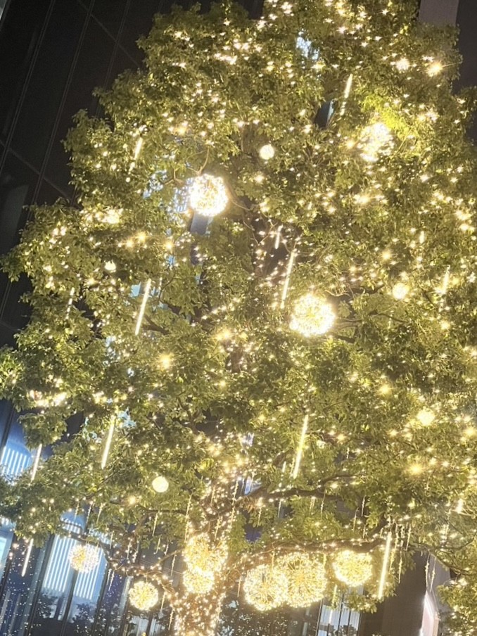 年末におすすめ冬の洗車とコーティングで愛車ピカピカに✨