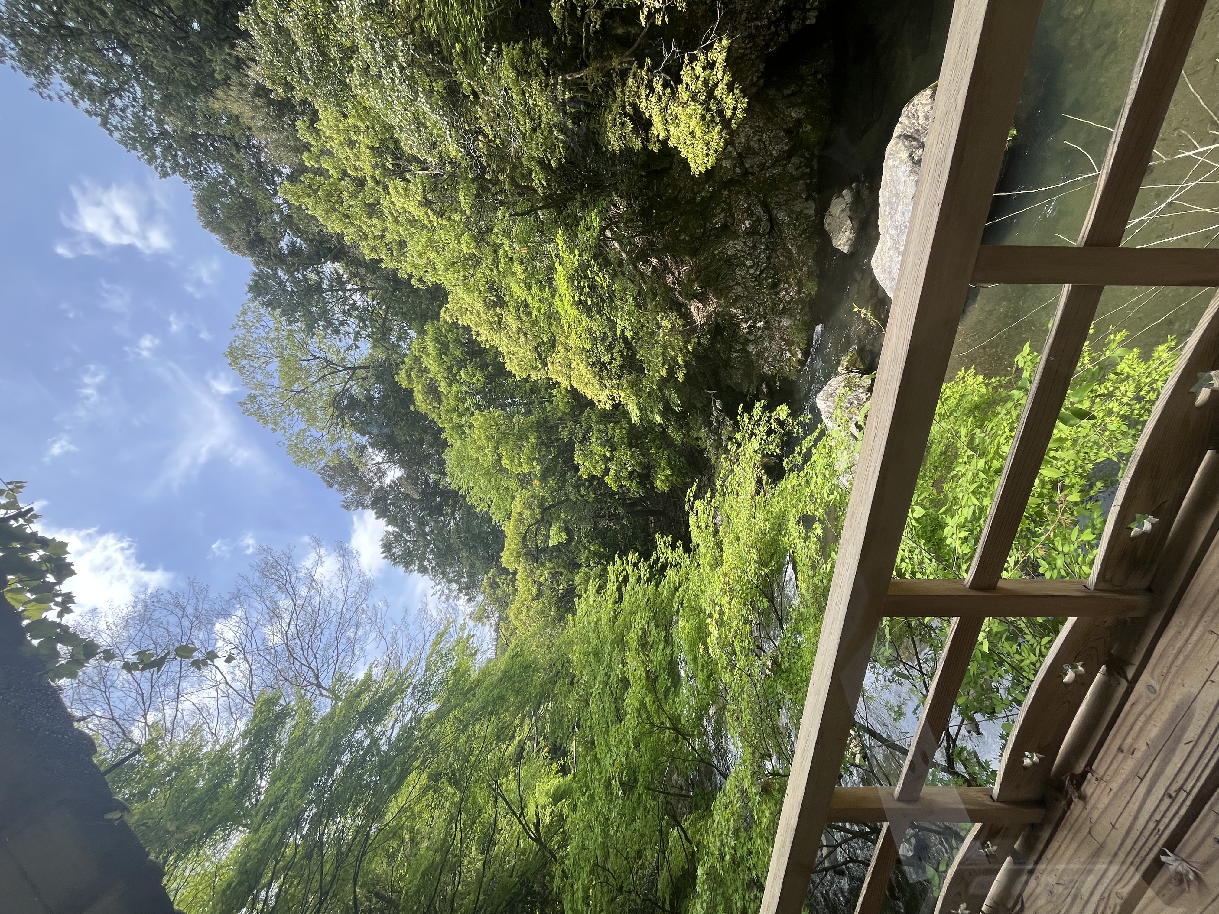 春の洗車半額キャンペーン実施中！愛車をピカピカにしよう🚗✨