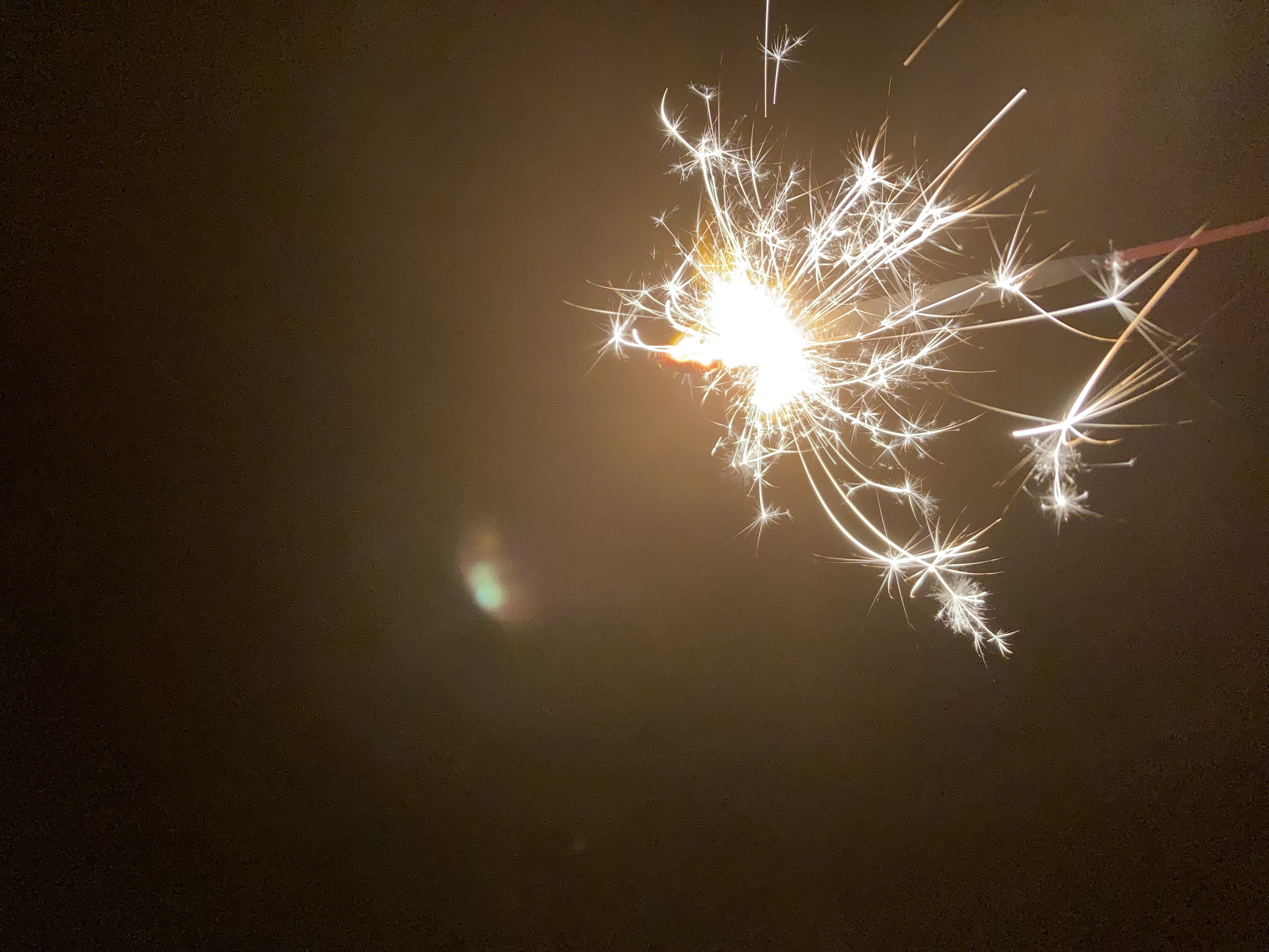 冬の愛車を守るダイヤⅡキーパープレミアムコーティング✨安全点検もお任せ！