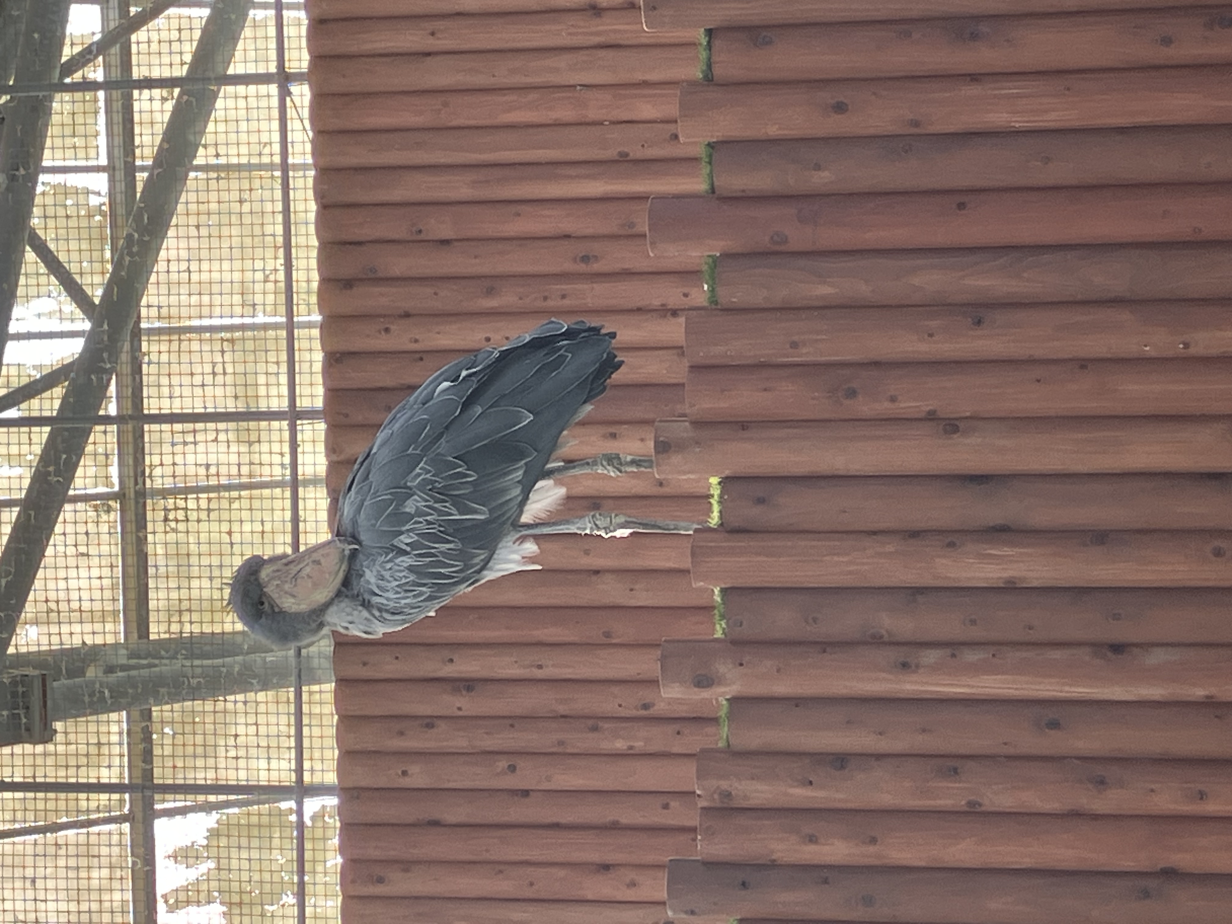 秋の手洗い洗車半額キャンペーン✨