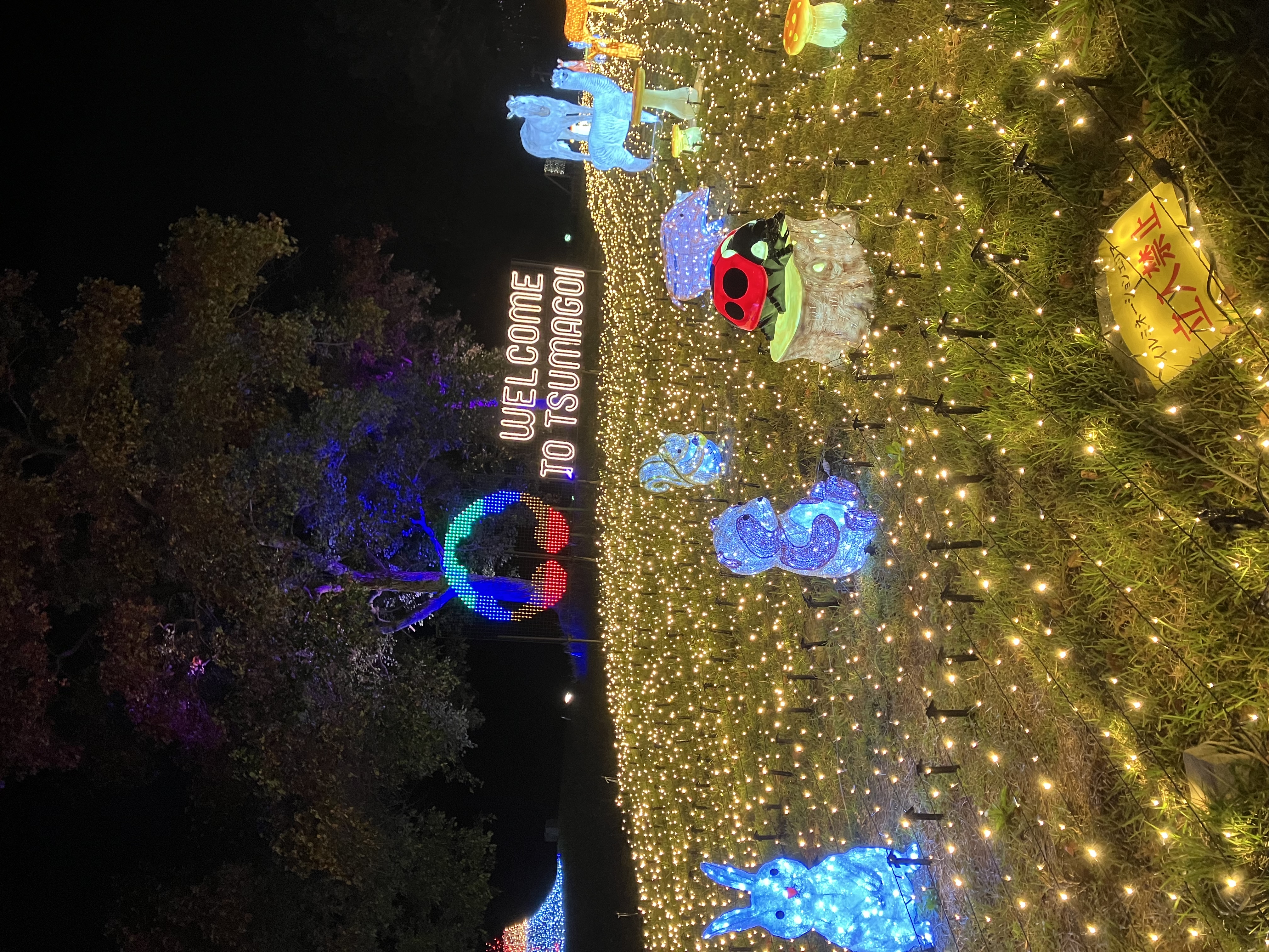 雪道も安心スタッドレスタイヤ交換と冬の車メンテポイント⛄️