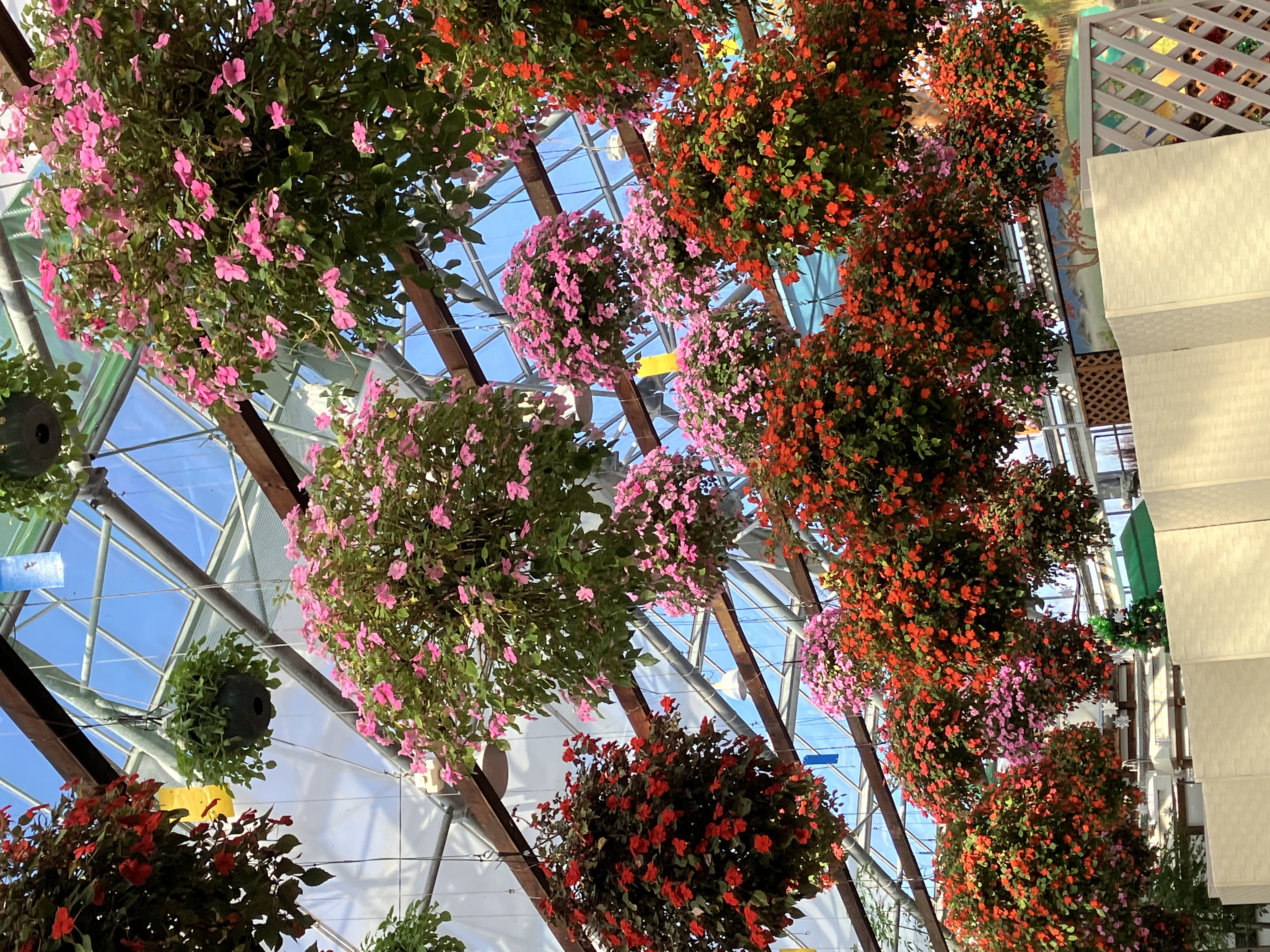 車検前の安心点検と冬支度キャンペーン情報をチェックしよう🚗✨