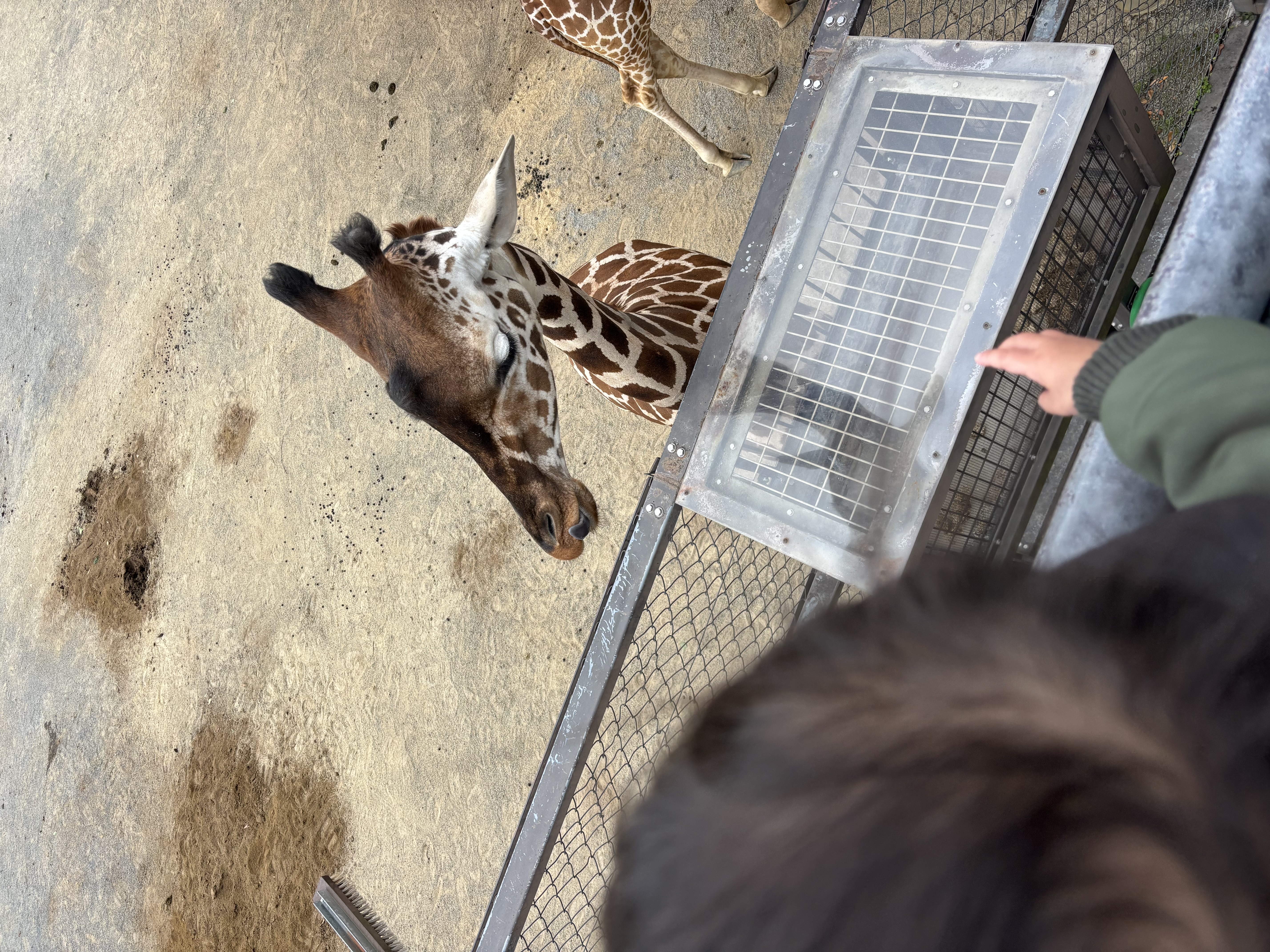 寝屋川TS冬前点検と半額オイル交換キャンペーンのお得情報🚗