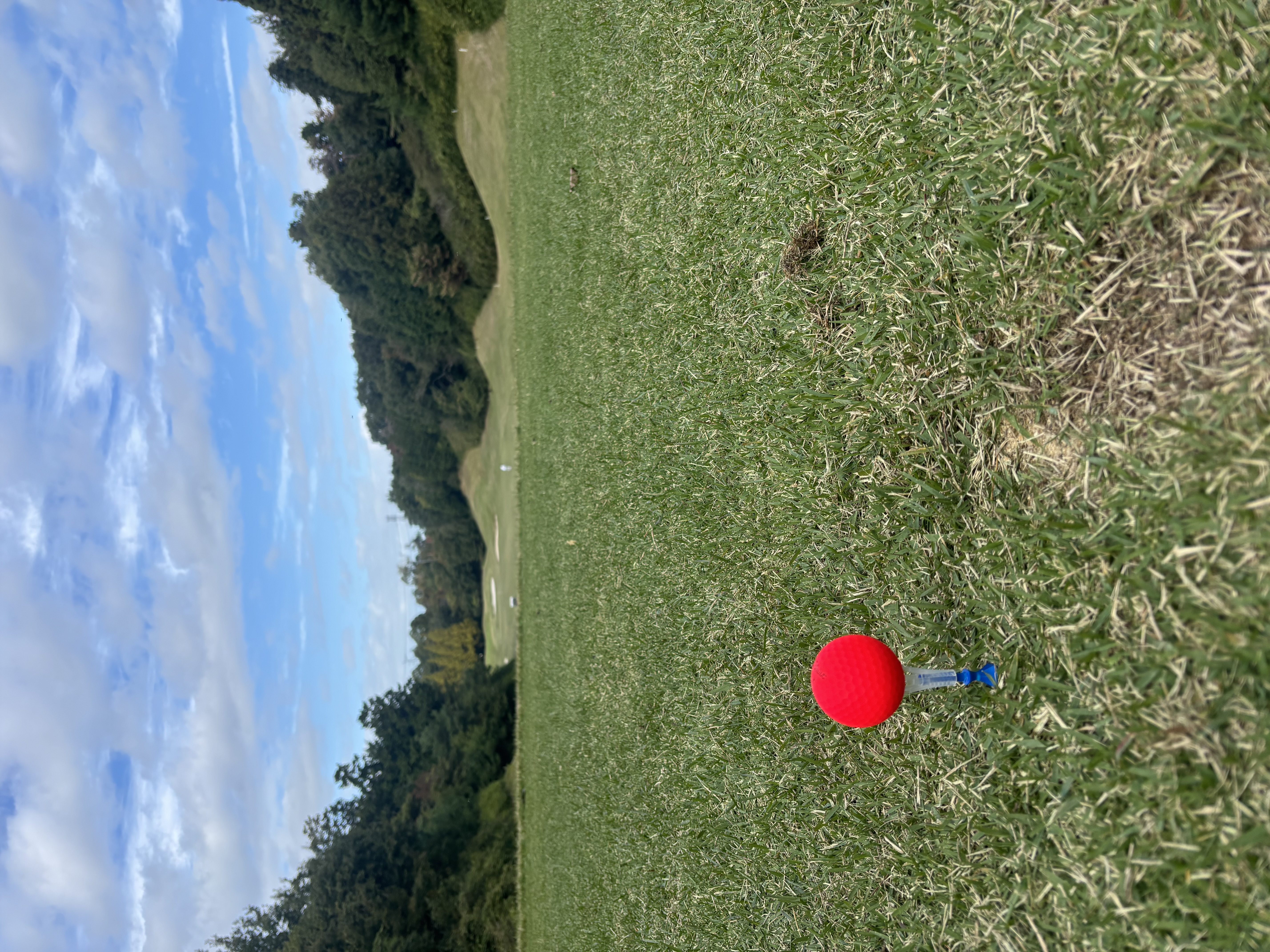 寝屋川TSで秋の洗車半額キャンペーン開催中🚗快適カーライフ応援！