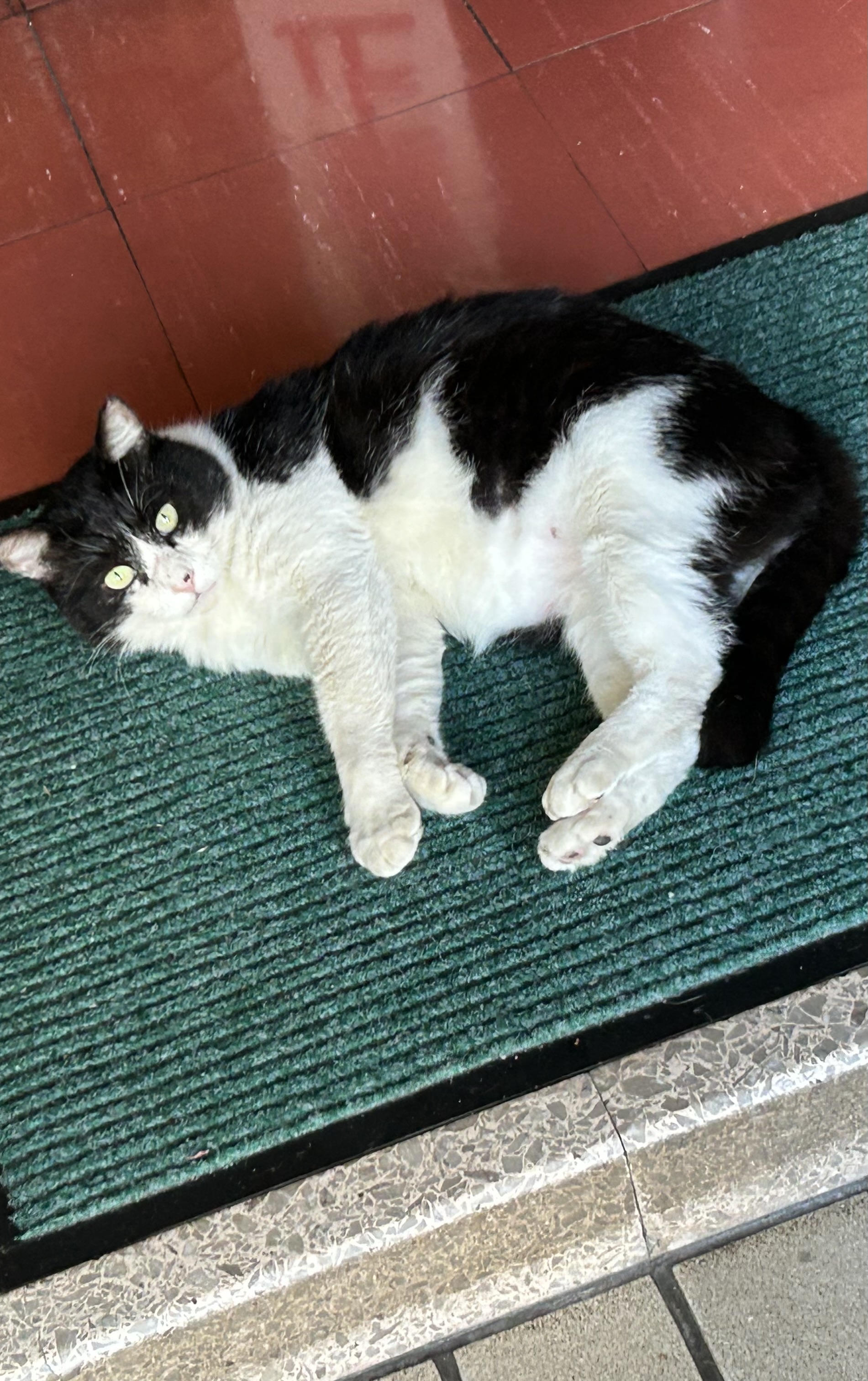 秋の車トラブル対策と大阪南港大和川通りTSの便利サービス🚗