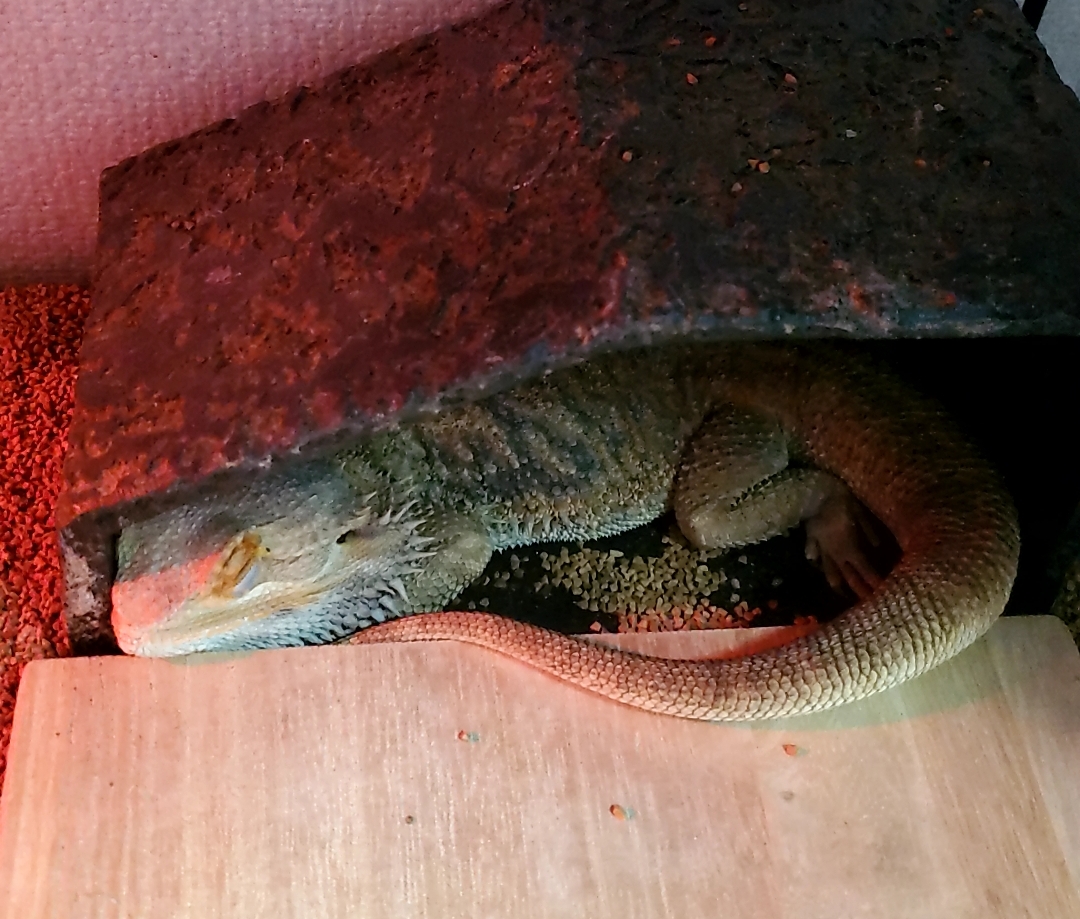 大阪南港大和川通りTSの冬の洗車と愛車メンテナンスガイド🚗