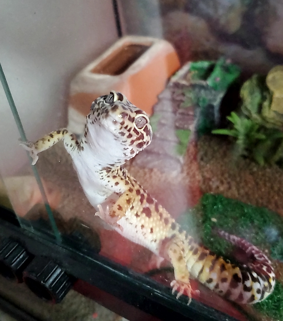 大阪南港大和川通りTSで秋の手洗い洗車と愛車メンテナンス🍁