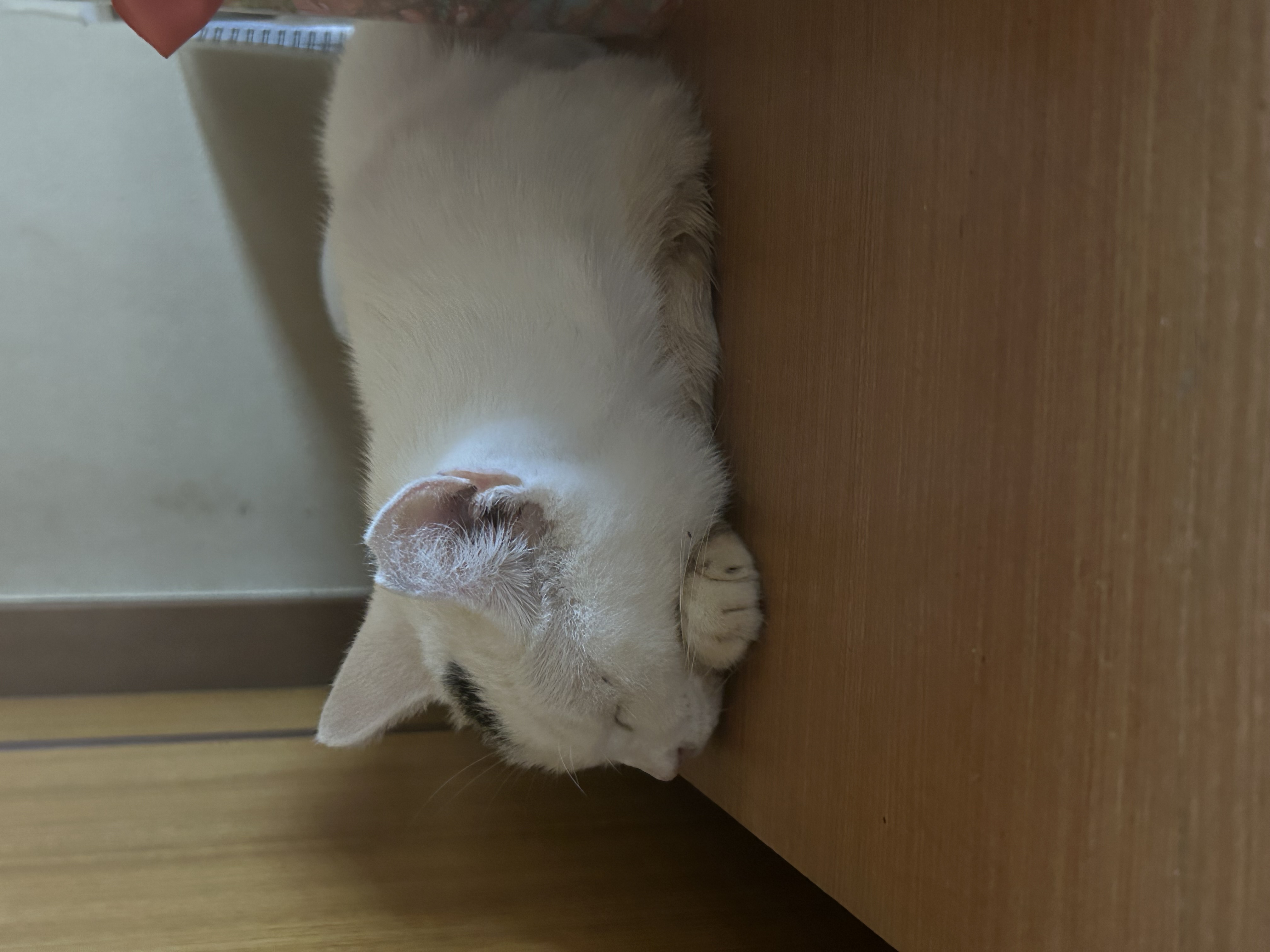 冬の車トラブル対策と洗車サービスで快適ドライブを応援🚗✨