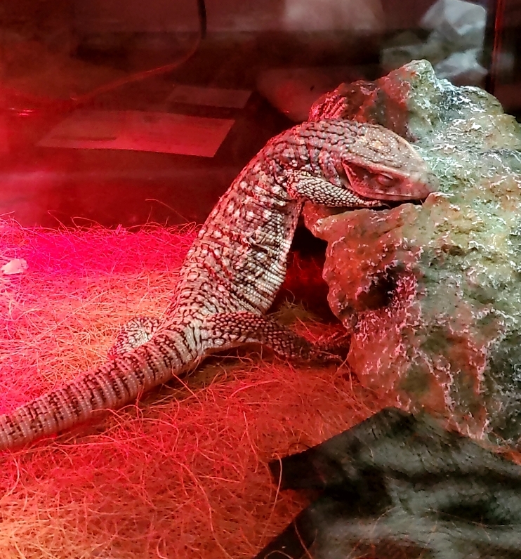 雨の日も安心大阪南港大和川通りTSの冬の車コーティング対策✨