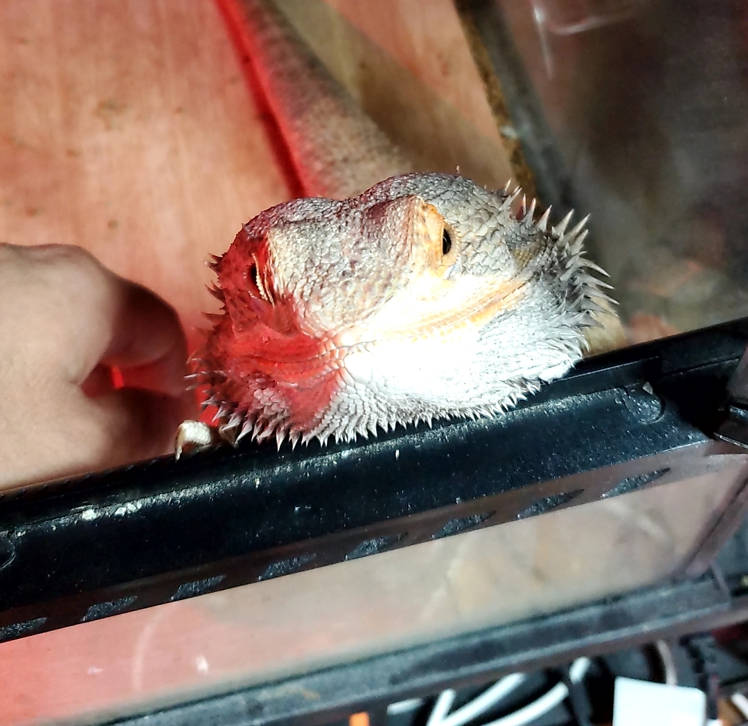 大阪南港大和川通りTSの秋のカーケアポイントとコーティング✨