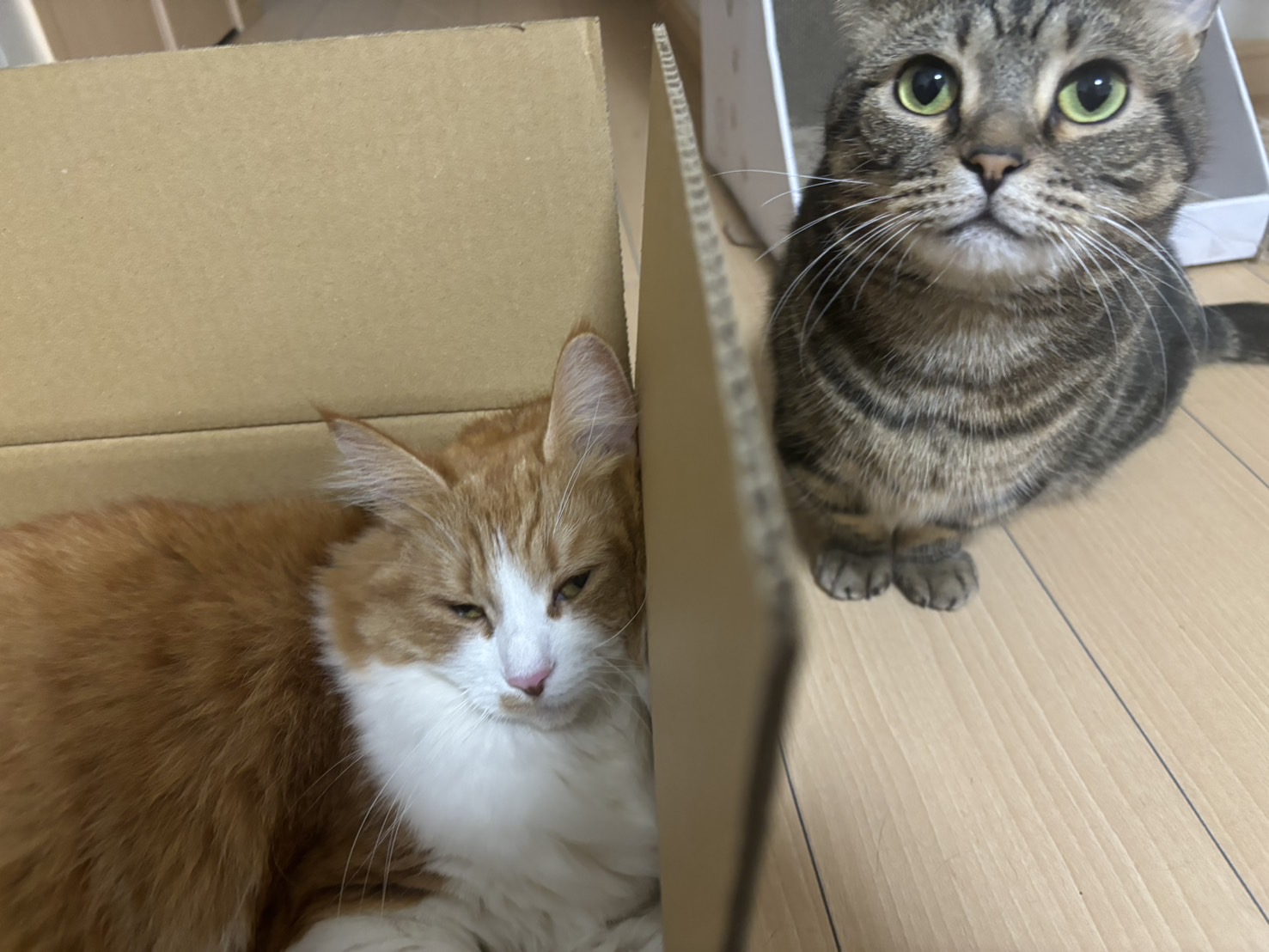 冬の愛車ケアは大阪南港大和川通りTSで洗車とコーティングがおすすめ🚗✨