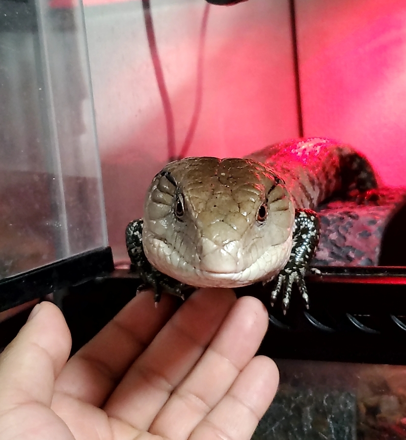 冬の大阪南港大和川通りTSで快適カーライフを応援🚗