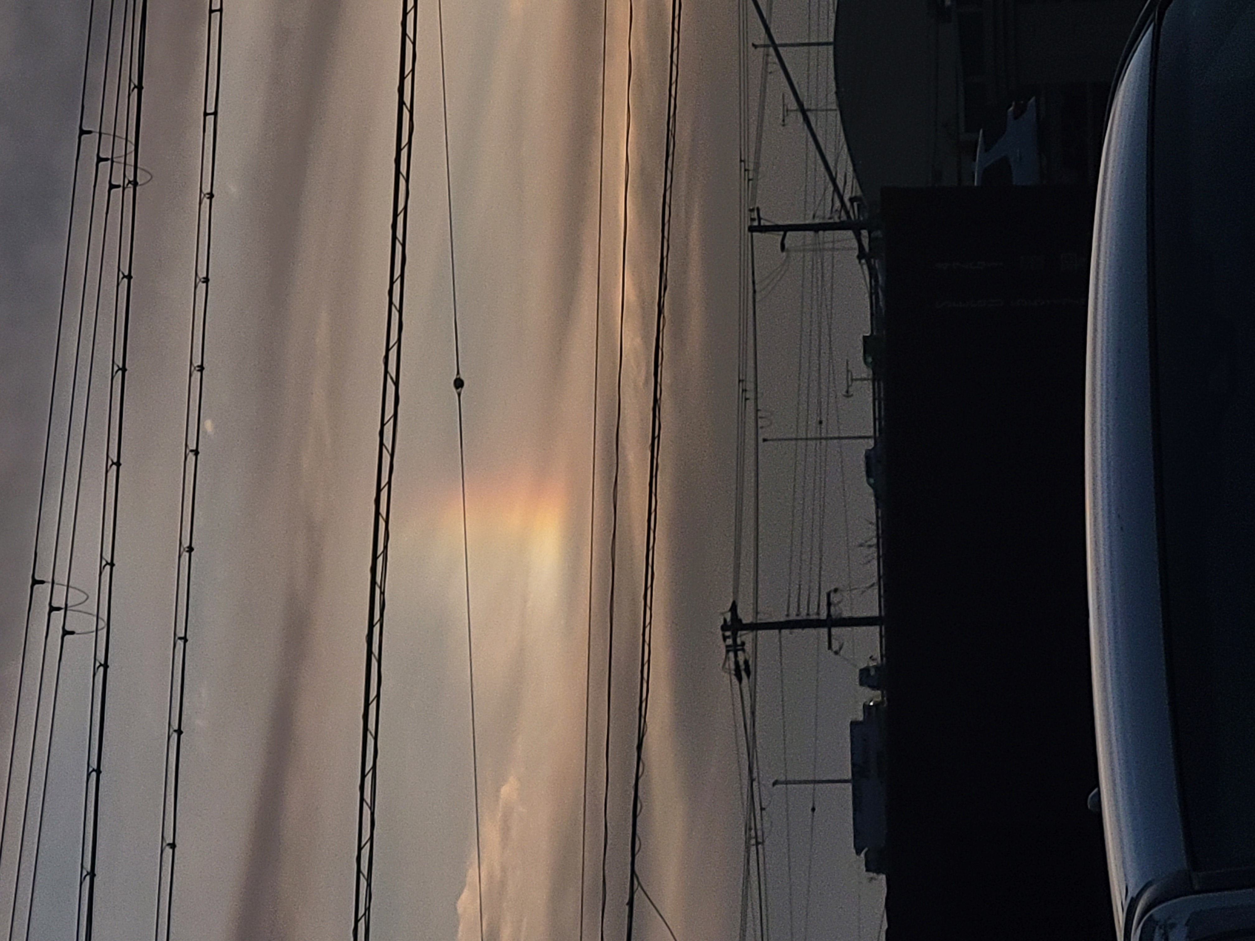 大阪南港大和川通りTS特売日で春の車点検と洗車を楽しもう🚗