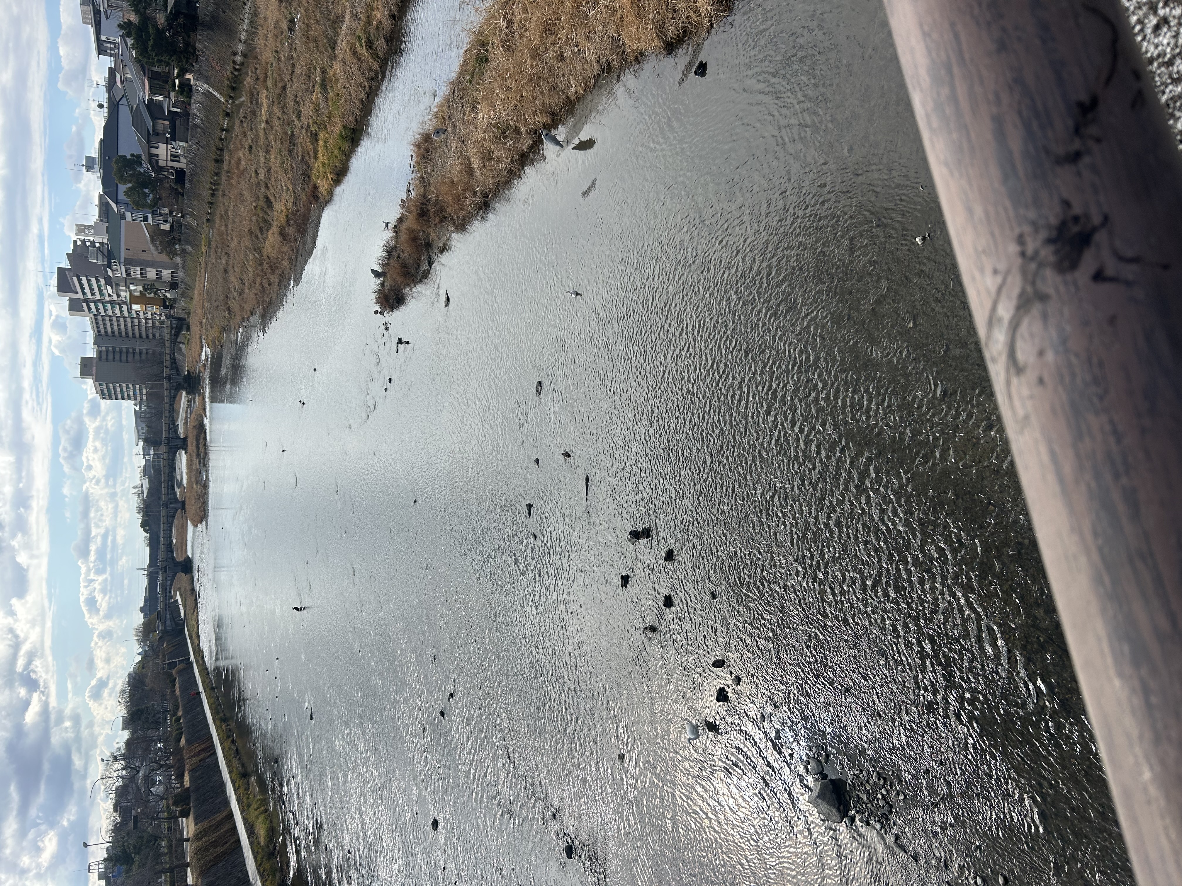 春の車ケアポイントと大阪南港大和川通りTSのおすすめサービス🚗