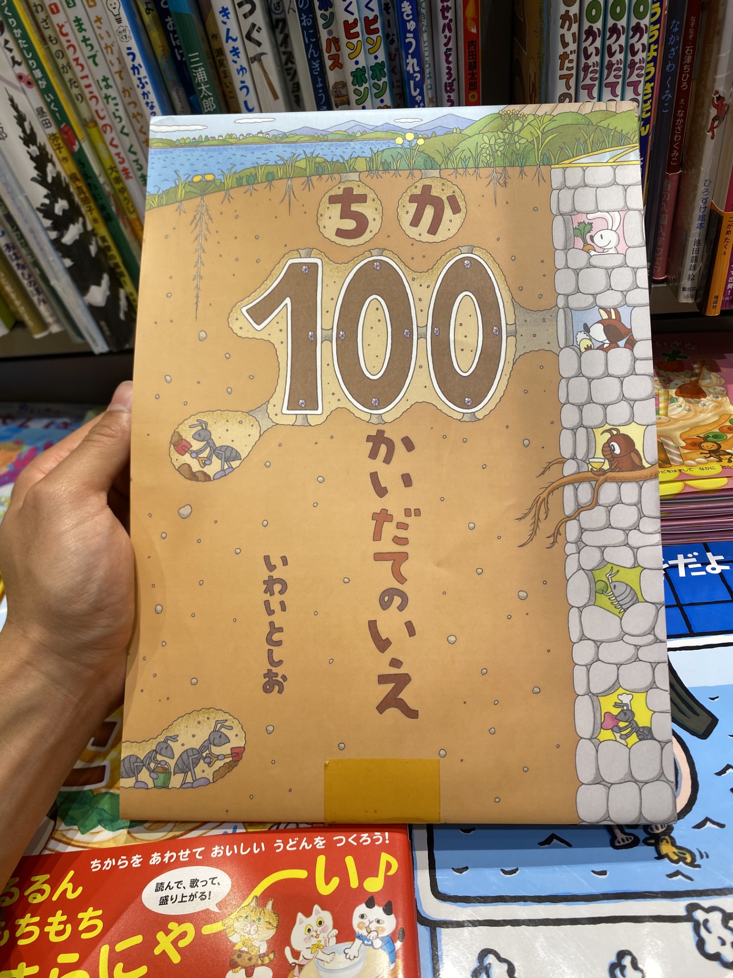 春のドライブを快適に窓ふきと点検で安全サポート🚗⛽️