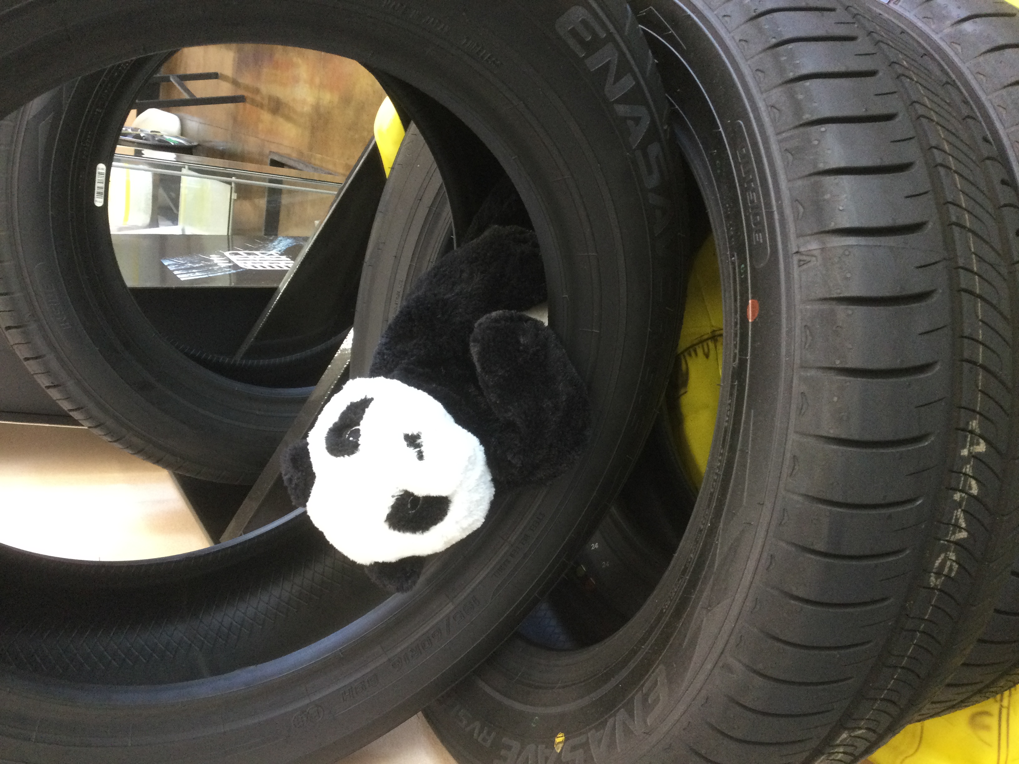 阪和道岸和田TSで秋の車メンテ＆癒しパンダにほっこり🐼