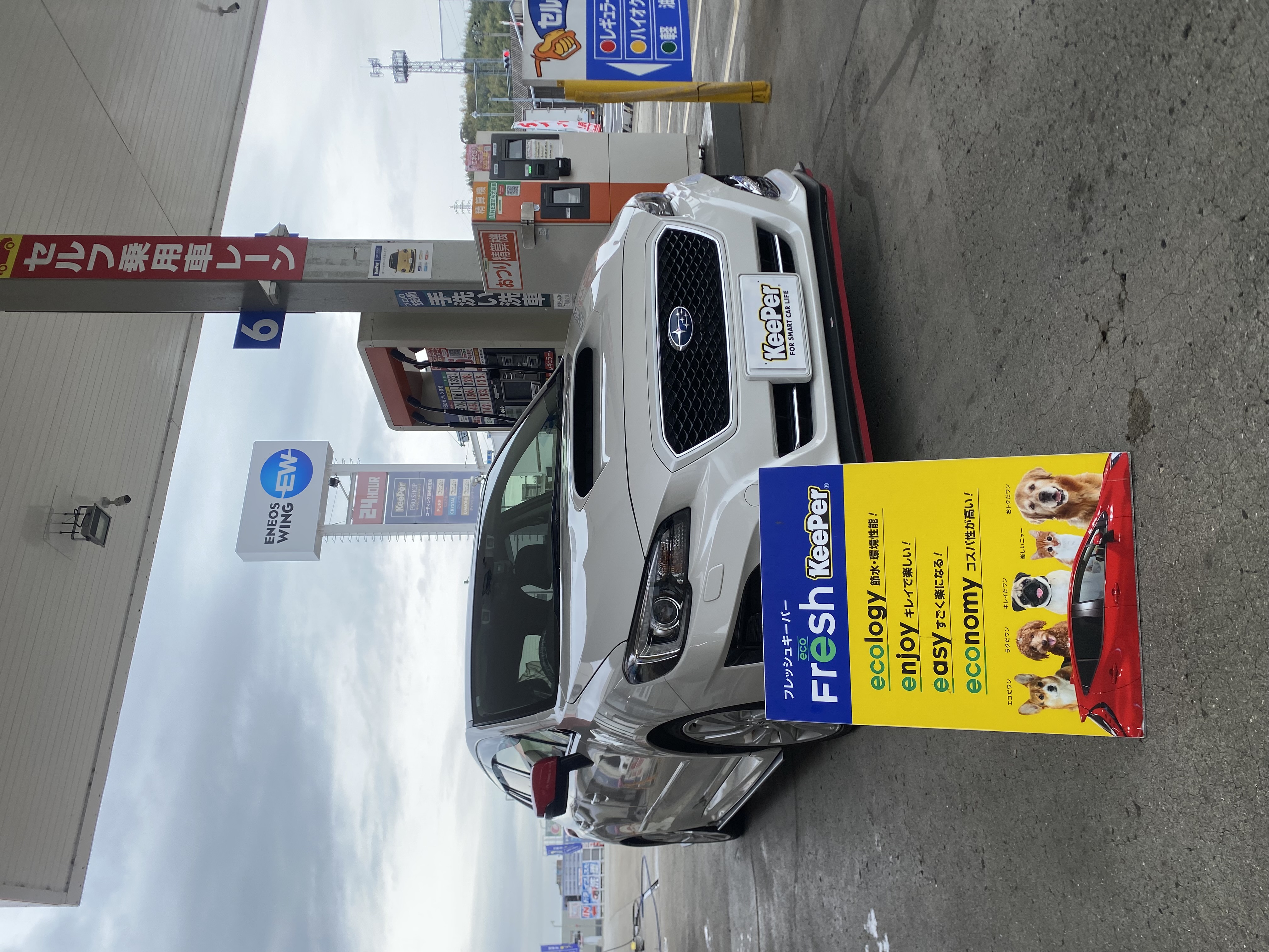 阪和道岸和田インターTS春の車コーティングと点検キャンペーン🌸