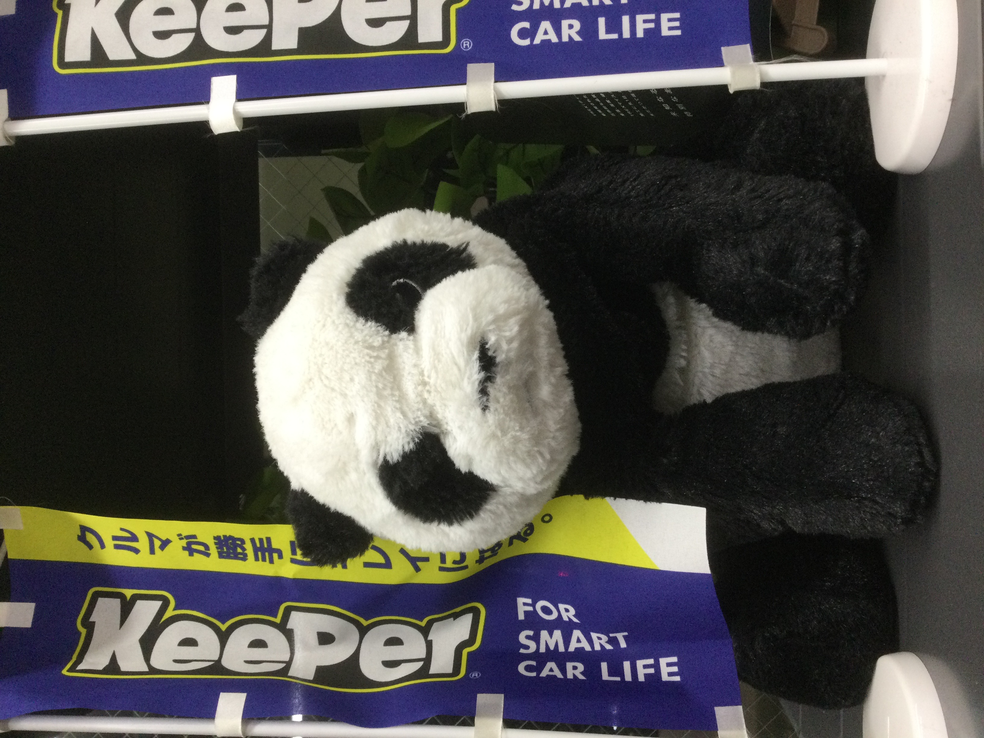 秋のドライブ前に知りたいガソリンスタンド点検ポイント🚗