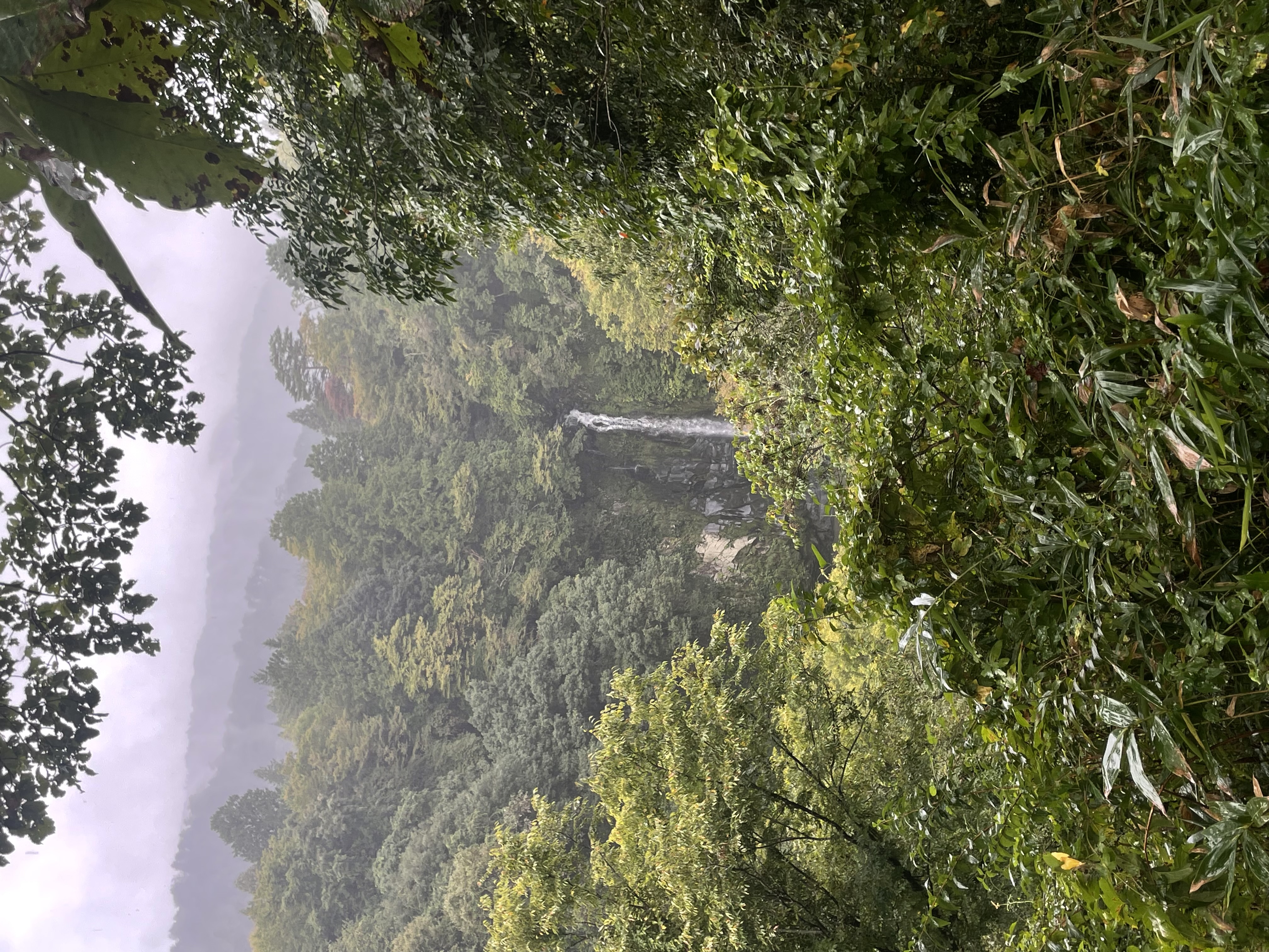 Dr.Drive大阪南港通り柴谷TSで秋のタイヤ点検と無料サービス🚗