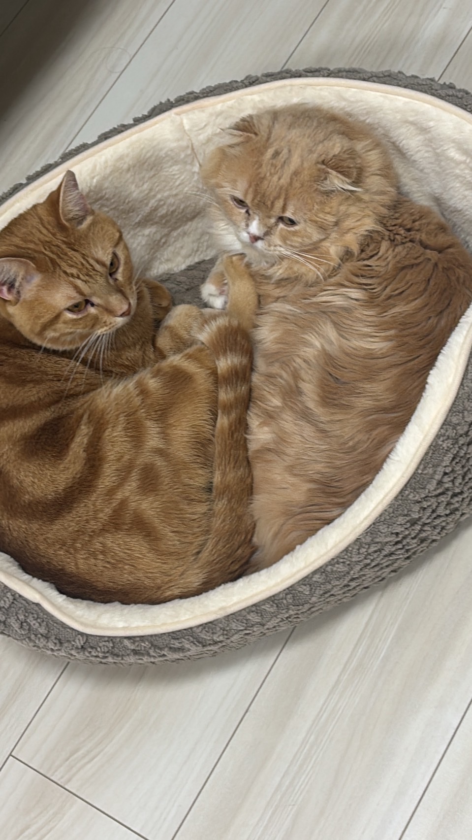 秋の車検前に気をつけたいタイヤ点検とお得キャンペーン情報🍁