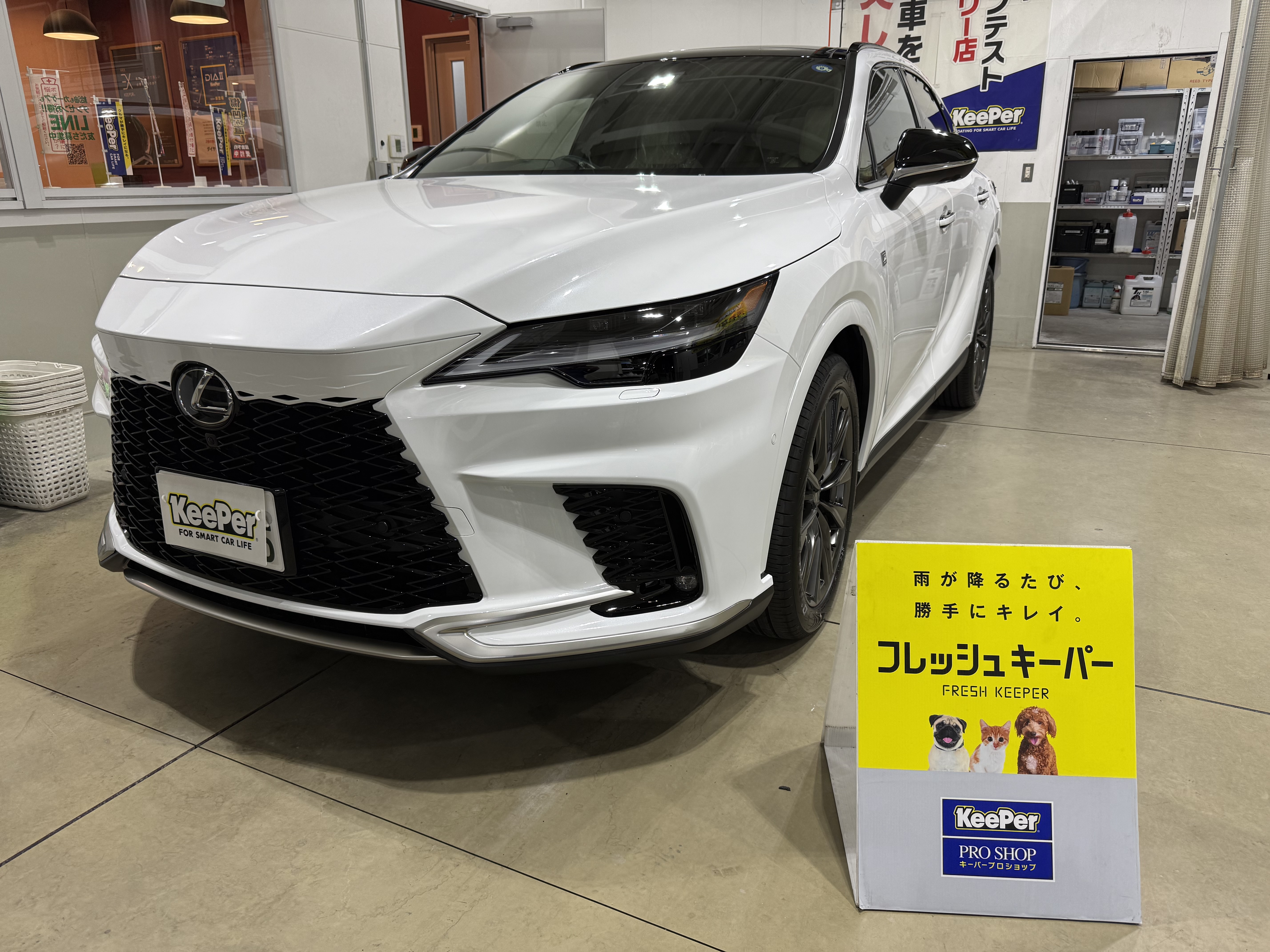 春の愛車ケアにおすすめ新車コーティングと点検サービス🚗