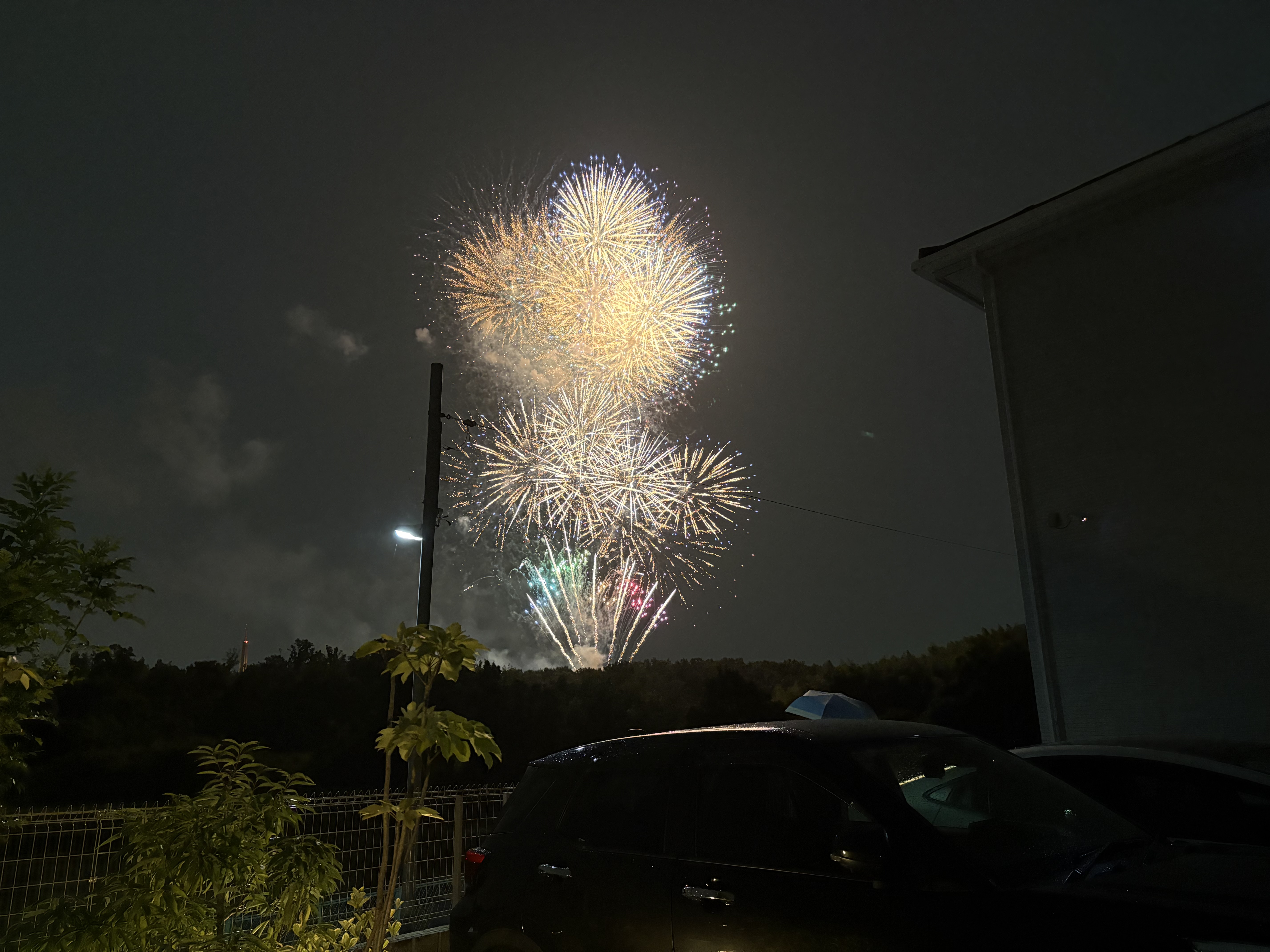 最近の身の回りの出来事🌻