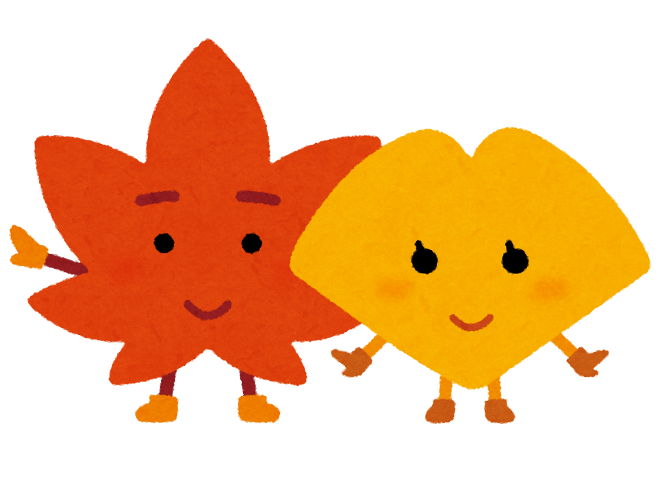 秋のドライブ前におすすめ手洗い洗車クーポン情報🚗✨