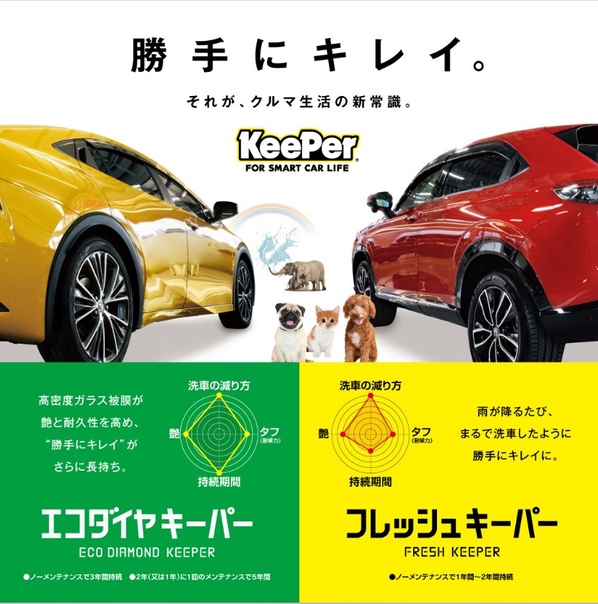 春のカーケアはルート43神戸TSで安心サポート🚗洗車から車検まで