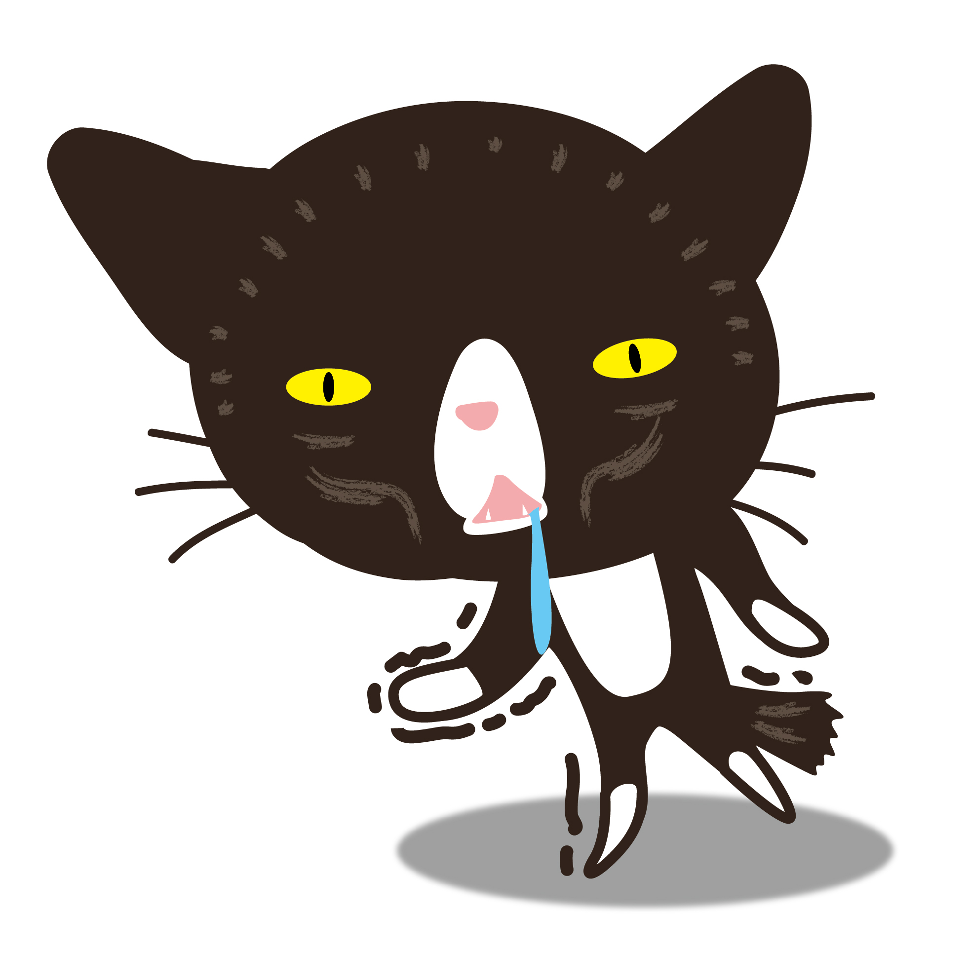 春の車メンテナンスポイントと神戸ルート43洗車サービス🚗✨