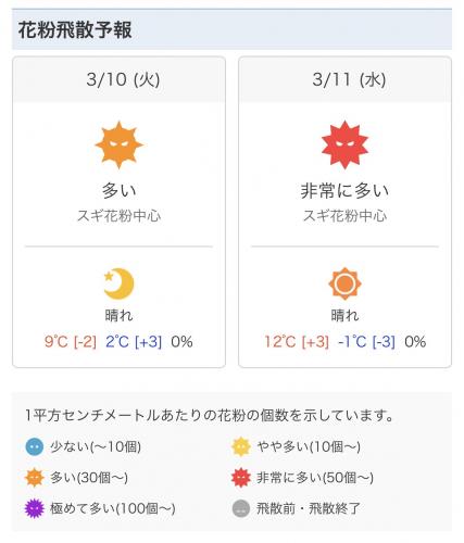 花粉🤧｜京都南TS｜202603140859
